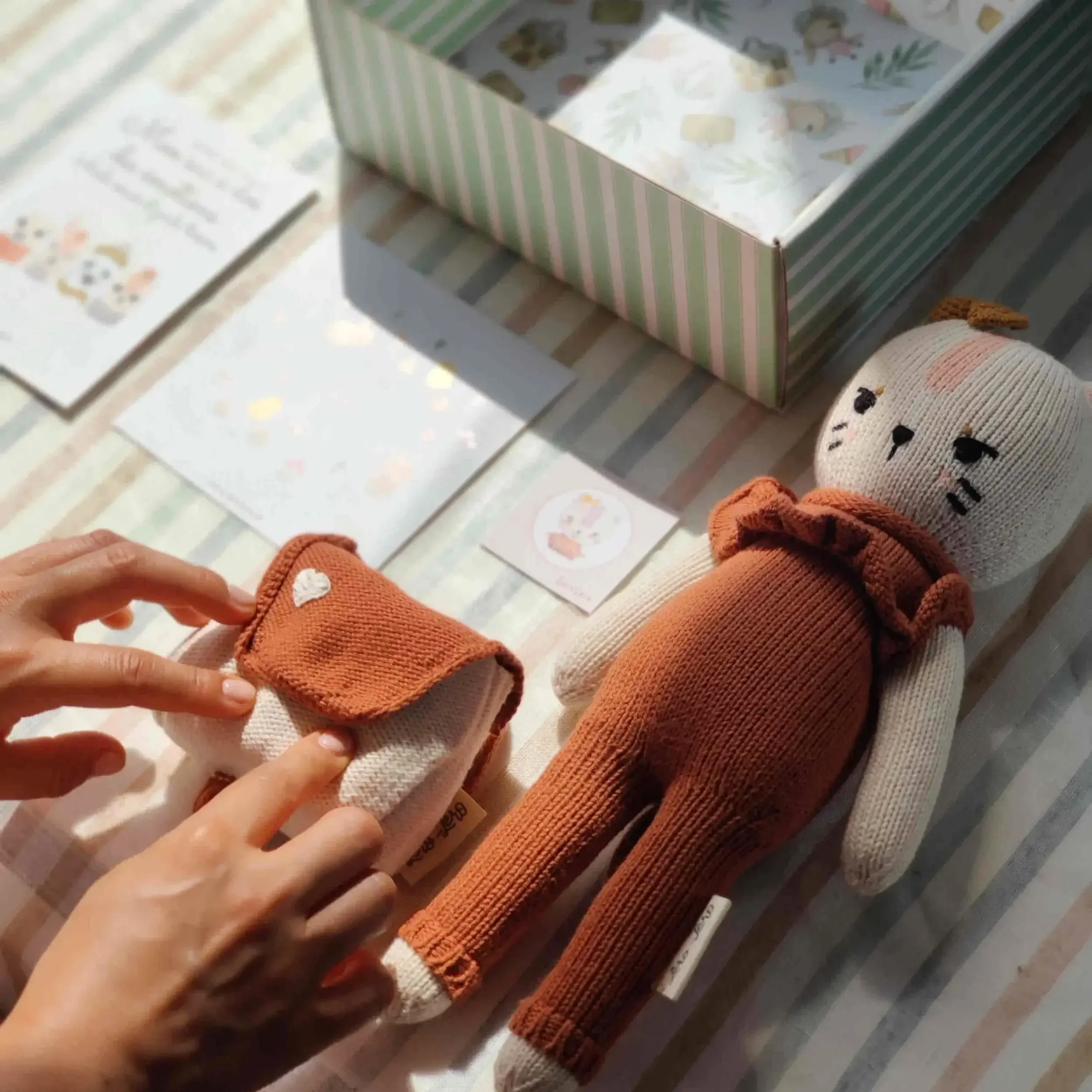 Coffret peluche des émotions Montessori Ima