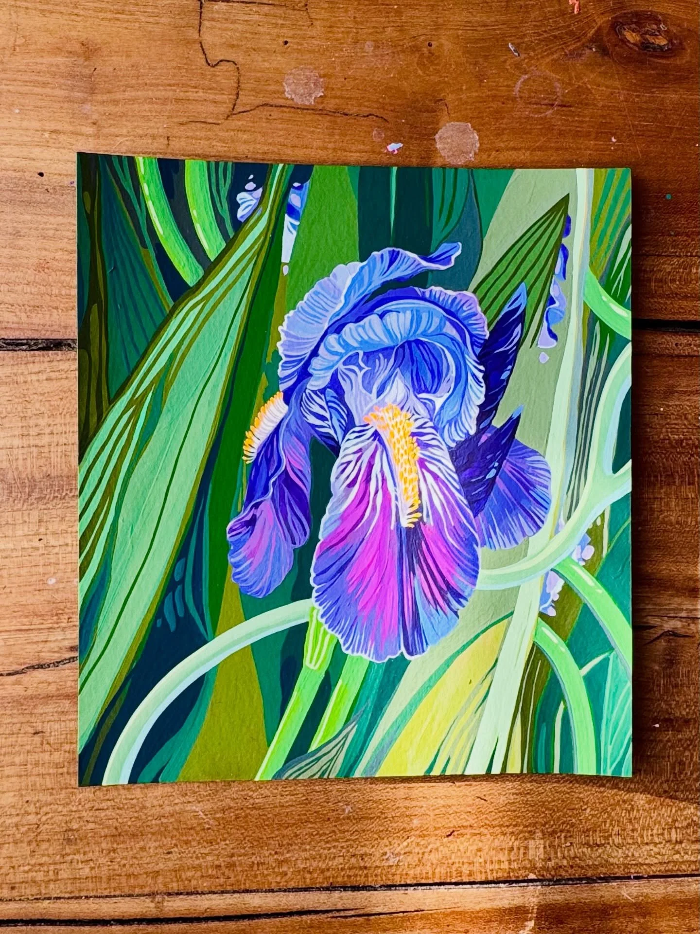 IRIS (du jardin.)
J&rsquo;ai eu envie de tester une technique de sous-peinture vue chez @jimmusilpainter et c&rsquo;&eacute;tait super agr&eacute;able. Sauf que je n&rsquo;aime pas peindre avec l&rsquo;acrylique alors j&rsquo;ai fini par prendre l&rs
