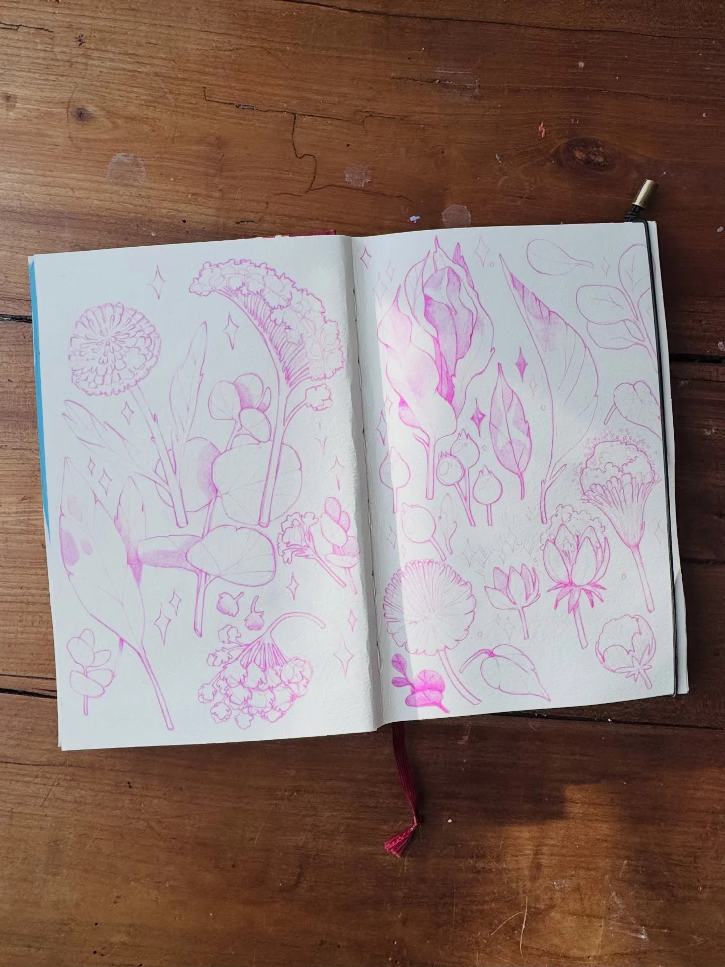CROQUIS EN ROSE - quand je vais chez mes parents, il y a souvent un bouquet sur la table ou m&ecirc;me des plantes d&rsquo;int&eacute;rieur en excellente sant&eacute; (ce qui me bluffe&hellip;) alors je les dessine.

Un de ces jours je prendrais le t