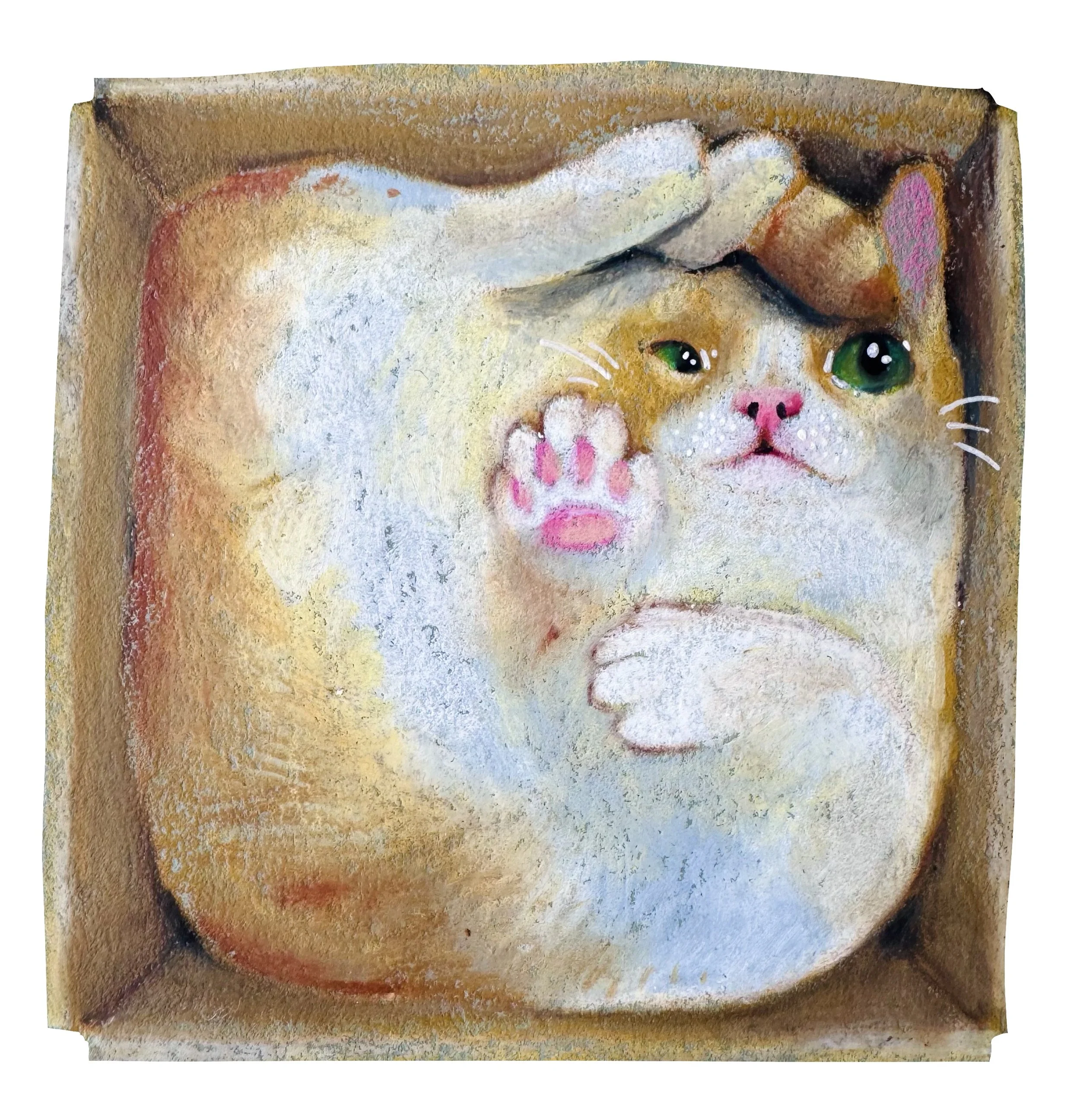 IMG_1932.PNG