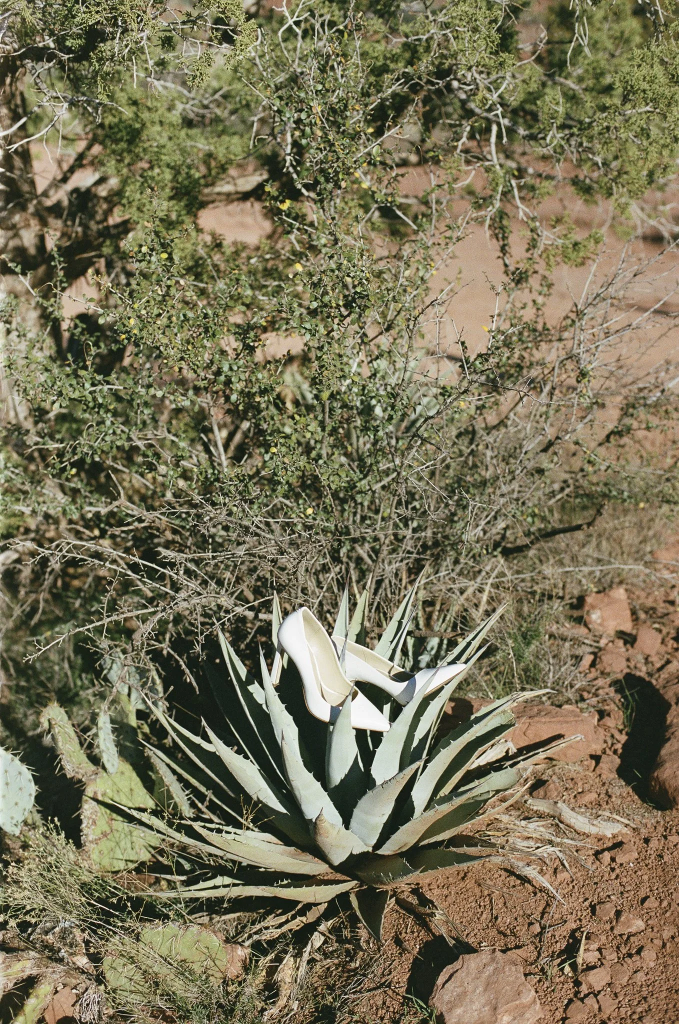 Carissa+Mark-Sedona-Arizona-Elopement-Cincinnati-JuliaHunterPhotography-35mmFilm-120Film-Wedding-16.jpg