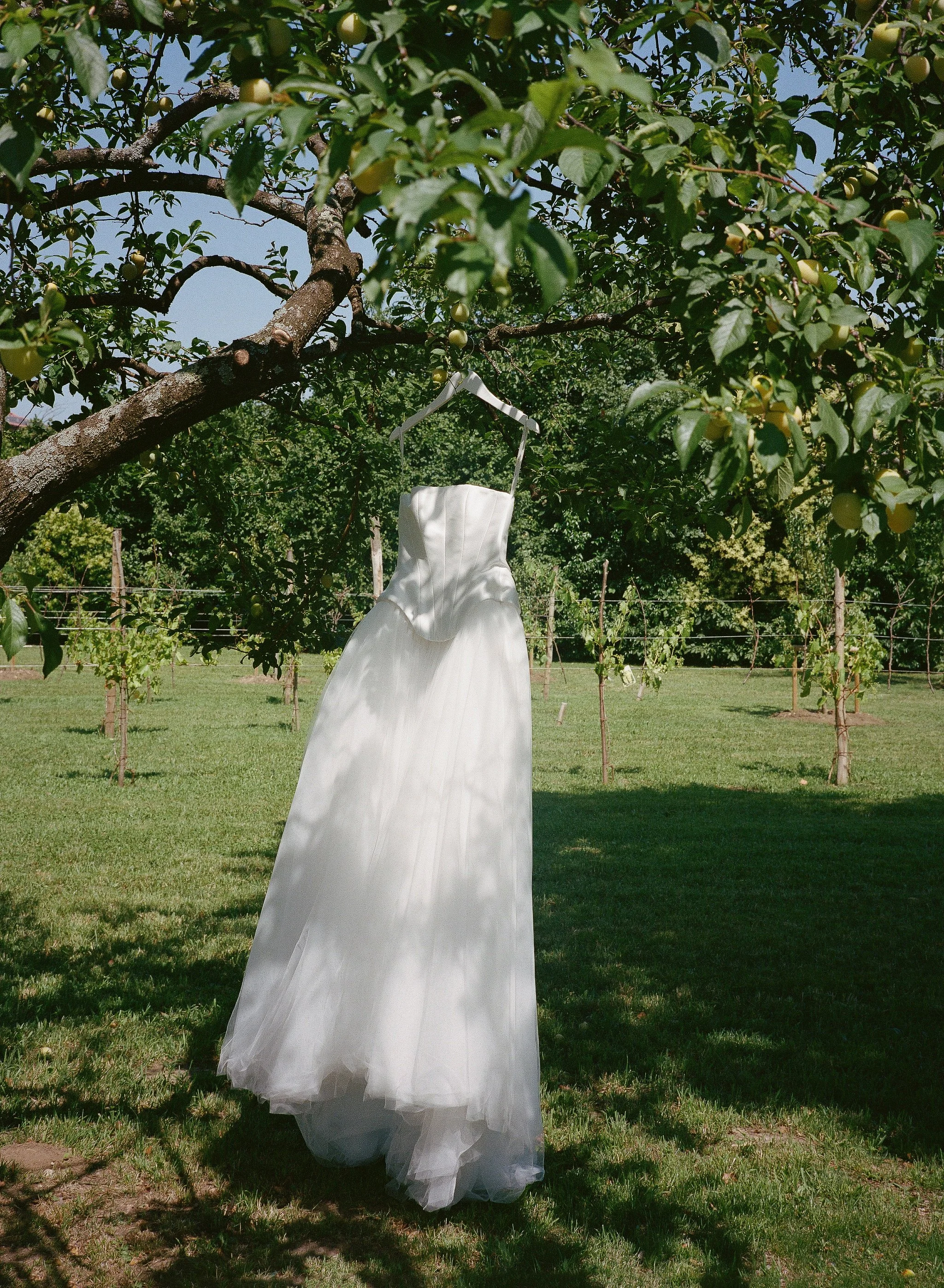 Sophia+Nick-Italy-Destination-CincinnatiWeddingPhotographer-Film-35mm-120-39.jpg