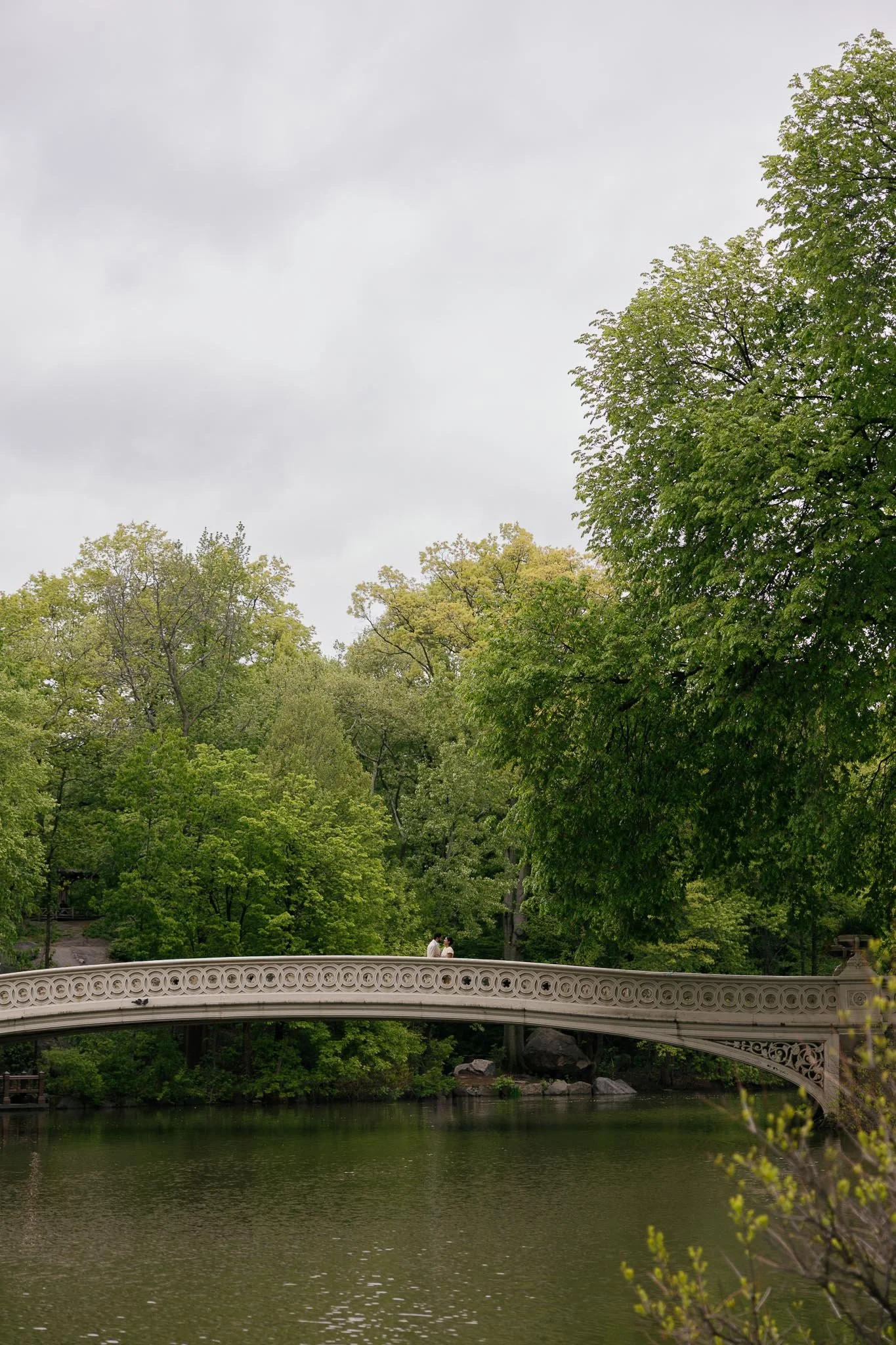 Atiya+Vikranth-CentralPark-NYC-NewYorkCity-JuliaHunterPhotography-Cincinnati-1859.jpg