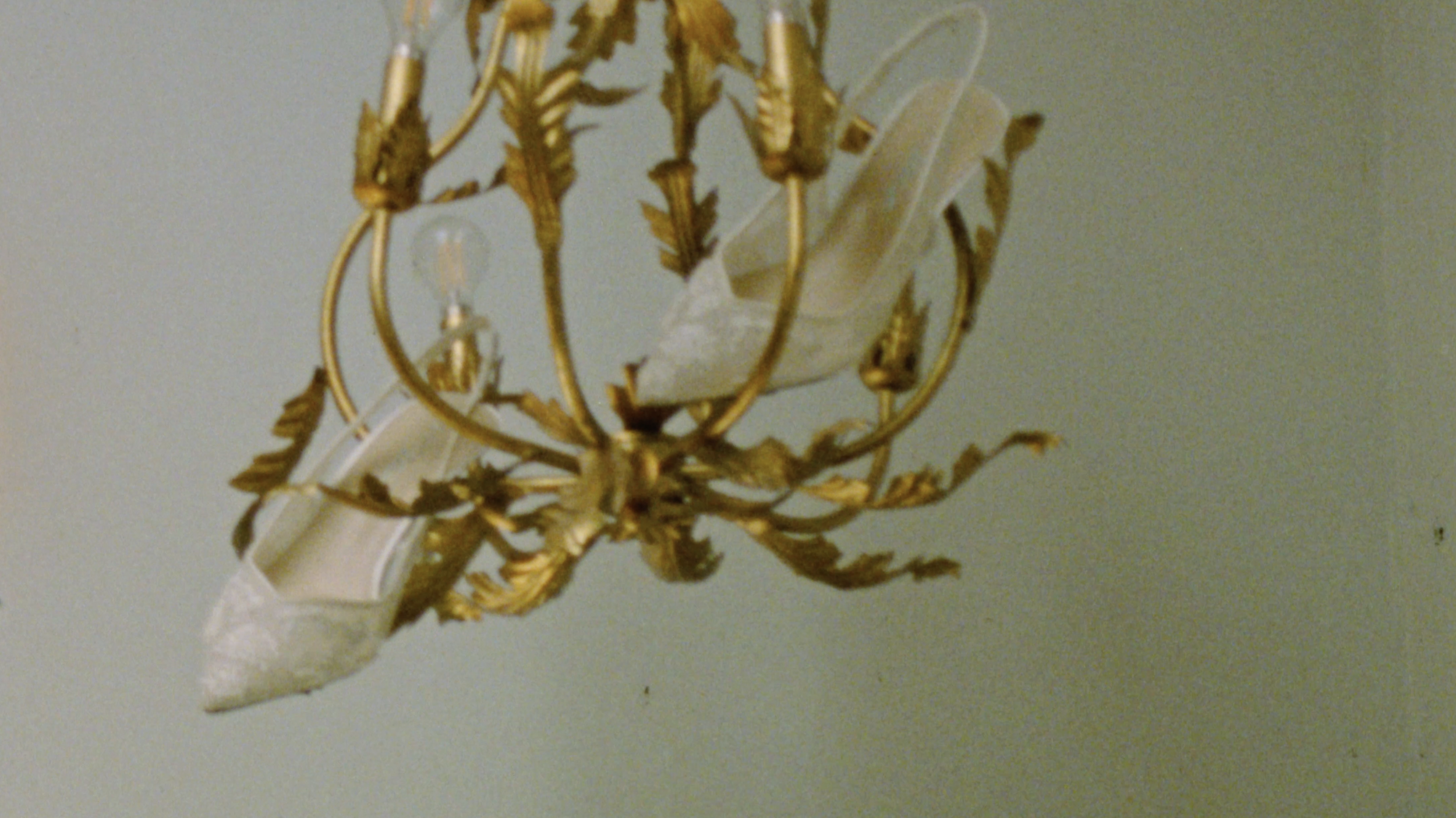 Lauren + Stephen's Wedding Day on Super8