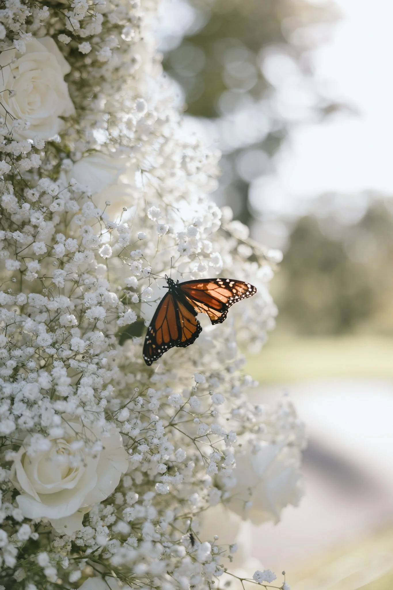 Caylee+Barrett-HarmonyLandingCountryClub-10.5.2024-0172.jpg