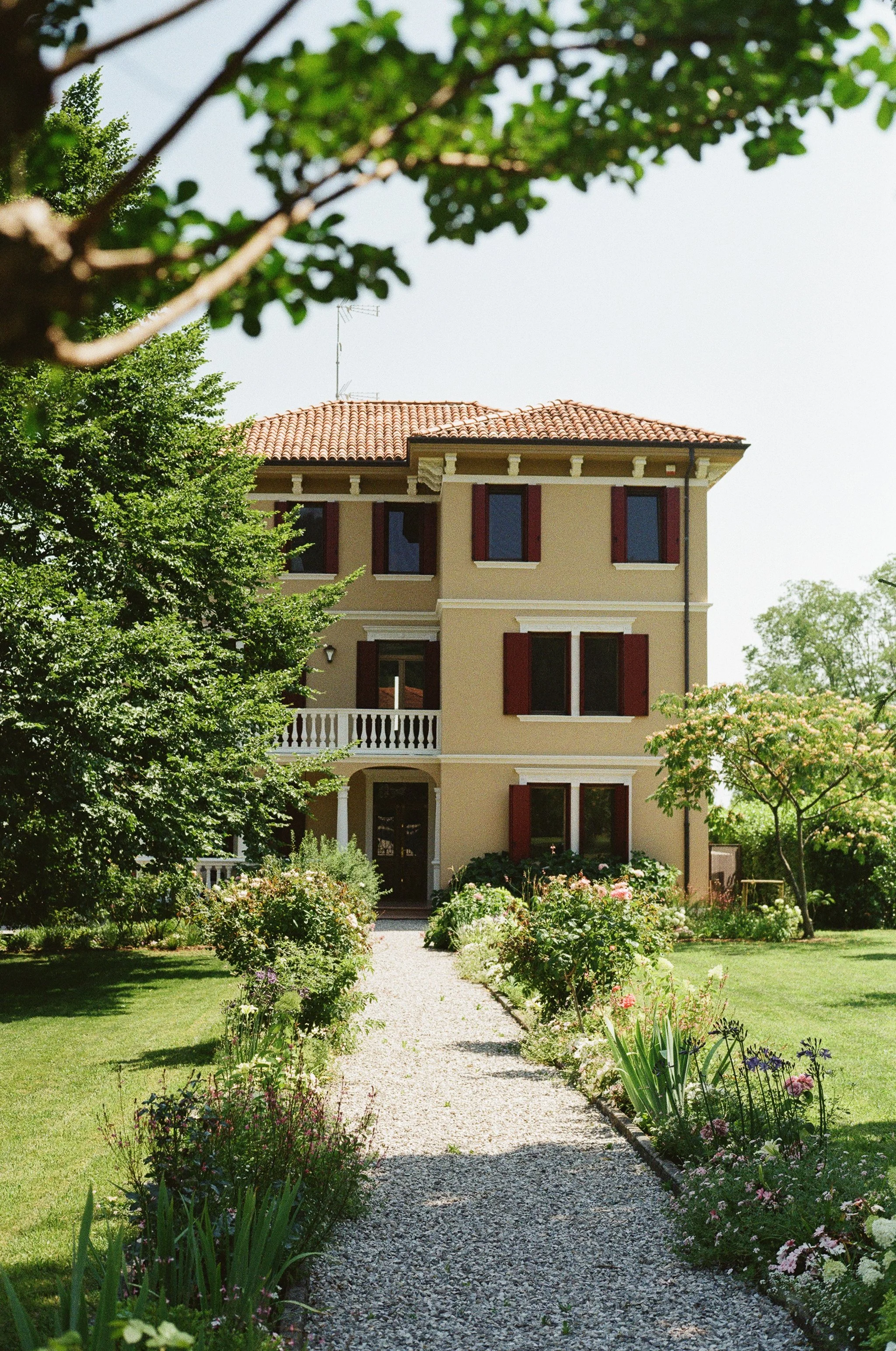 Sophia+Nick-Italy-Destination-CincinnatiWeddingPhotographer-Film-35mm-120-181.jpg