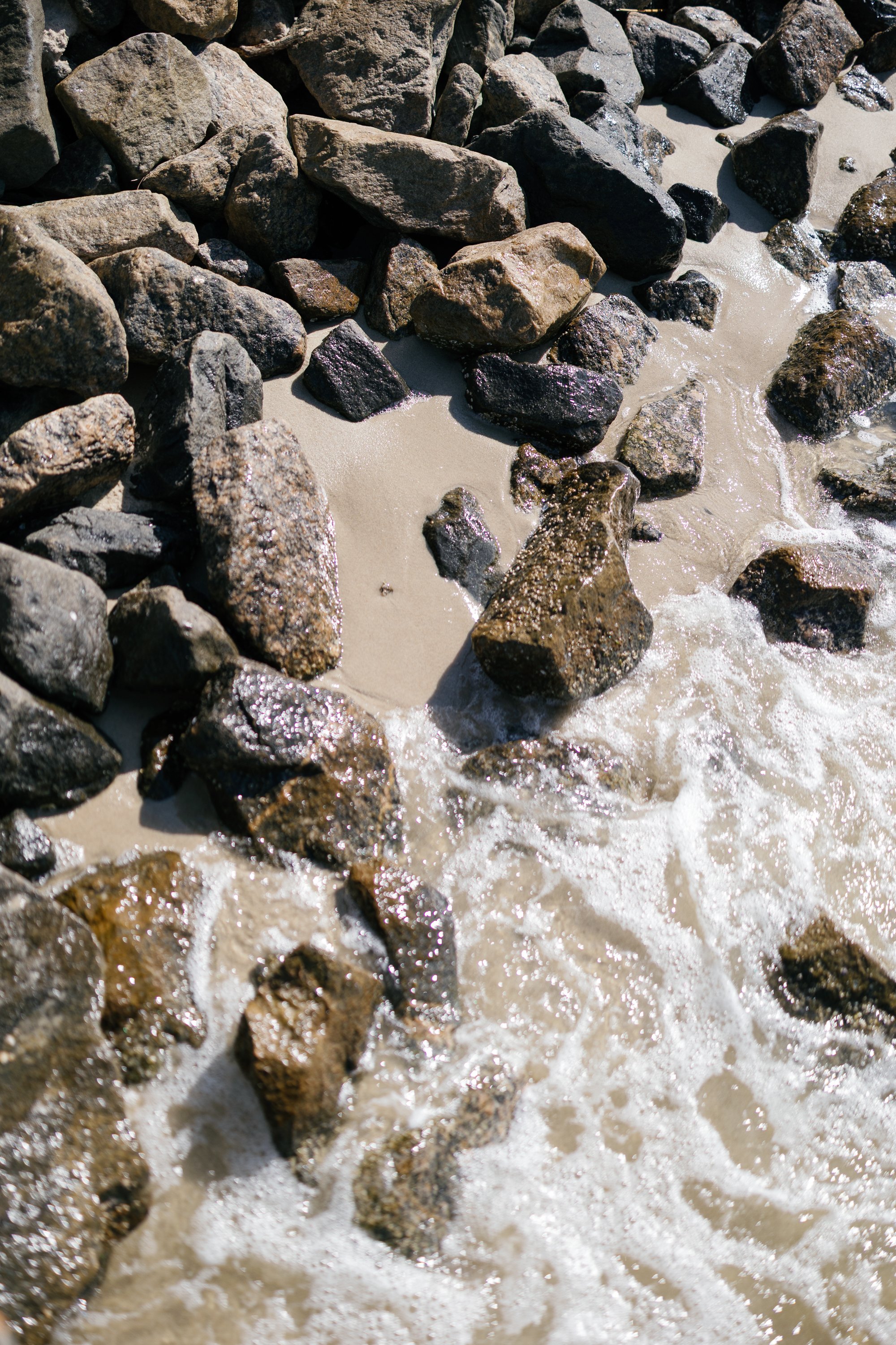 NorthCarolina-OuterBanks-Beach-Film-Cincinnati-WeddingPhotographer-Film-35mm-120-39.jpg