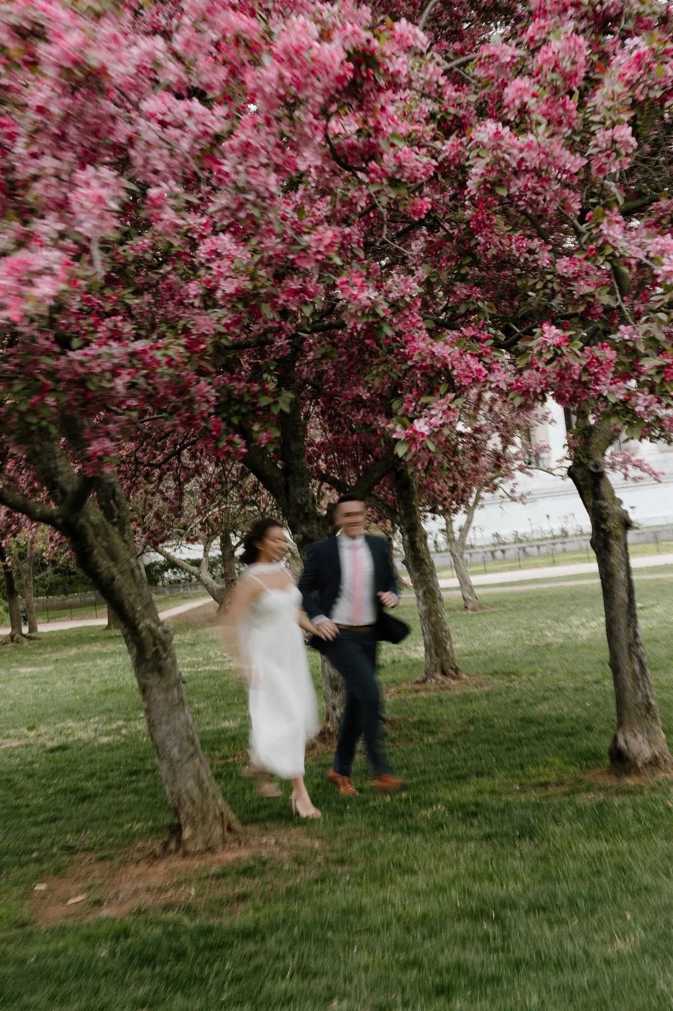 DCSpringEngagementPhotos-34.jpg