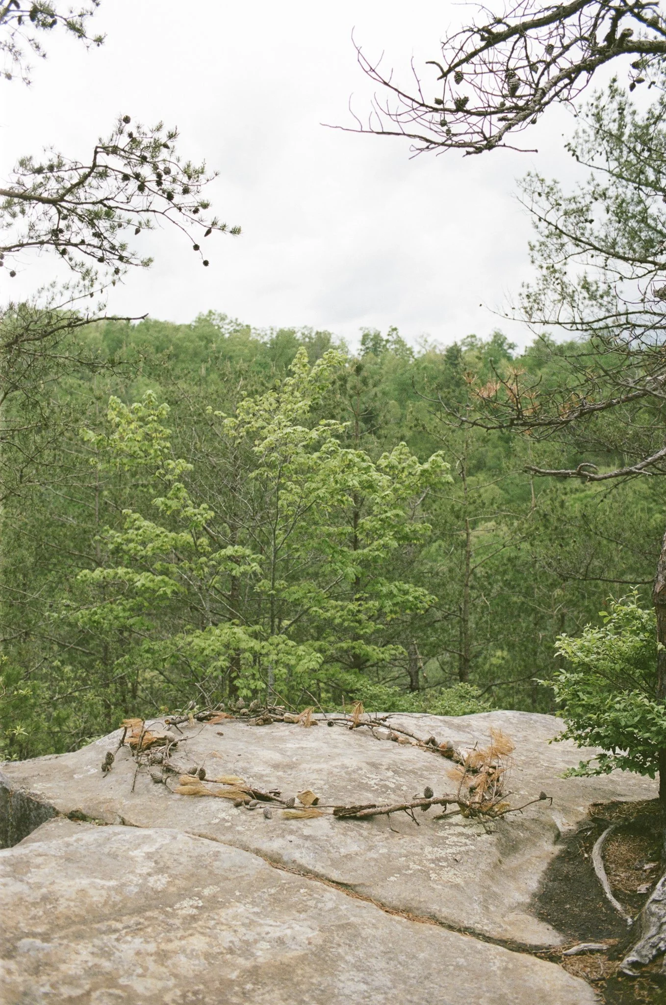 RedRiverGorgeElopementFilm-45.jpg