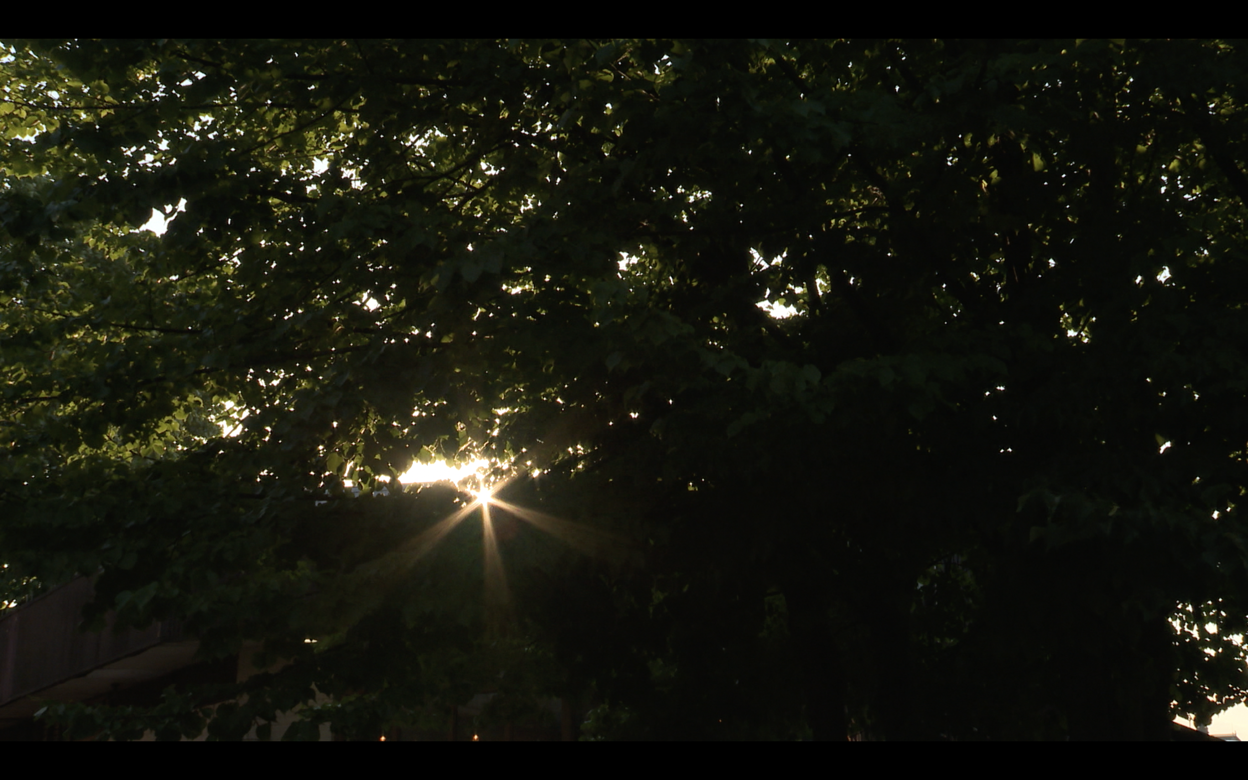 Screenshot 2024-09-07 at 11.25.46.png