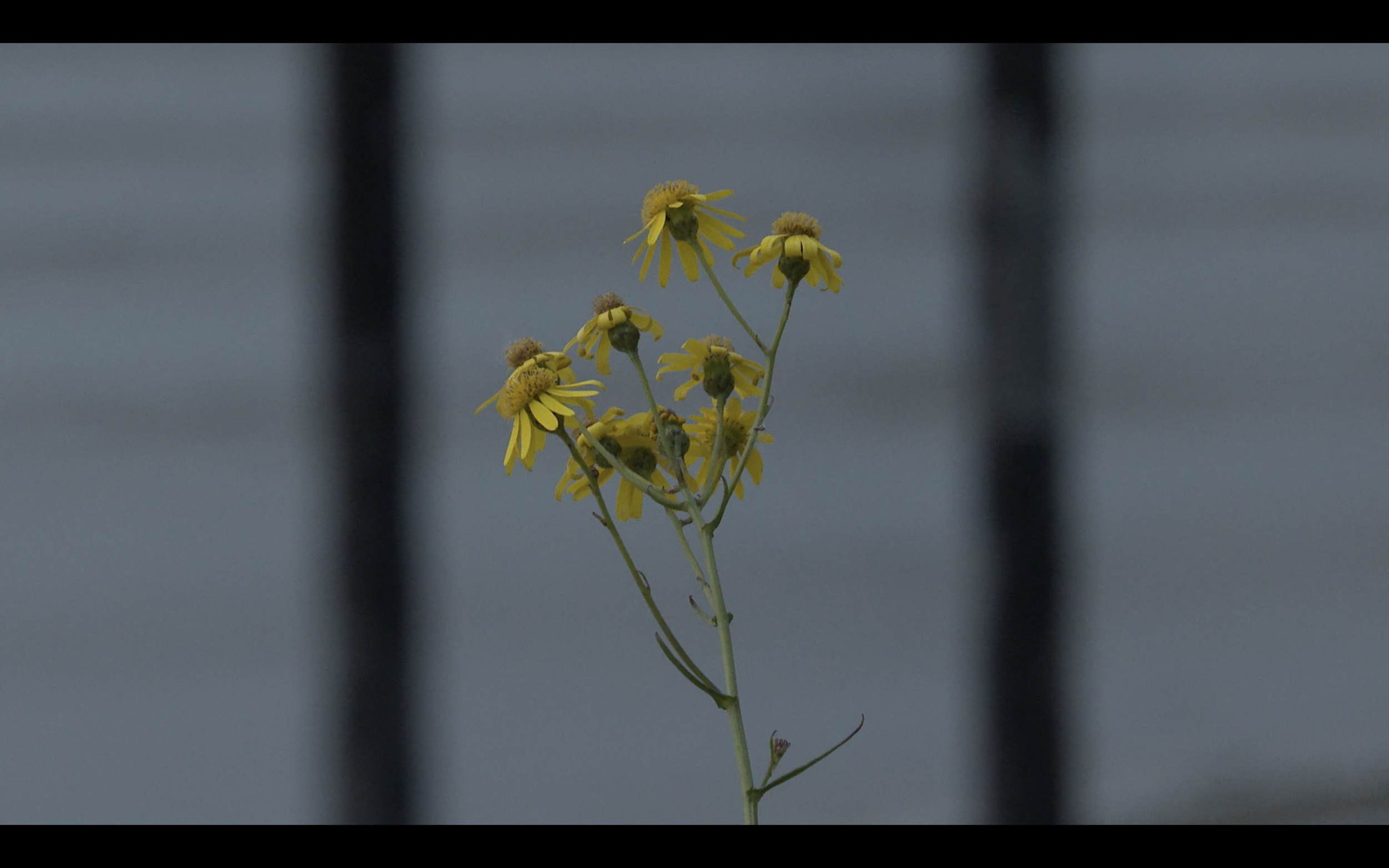 Screenshot 2024-09-07 at 11.26.26.png