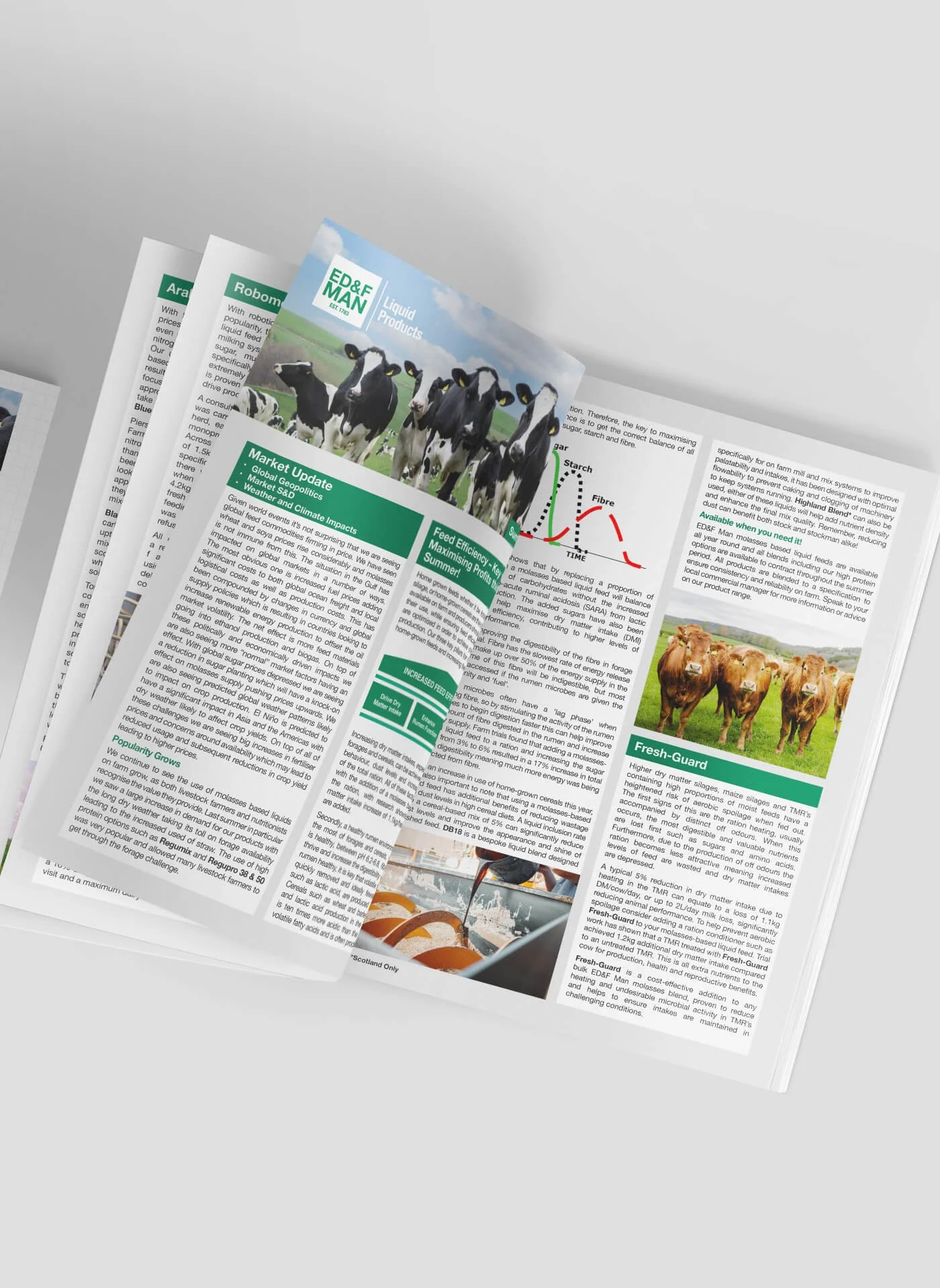 EDF-Newsletter copy.jpg