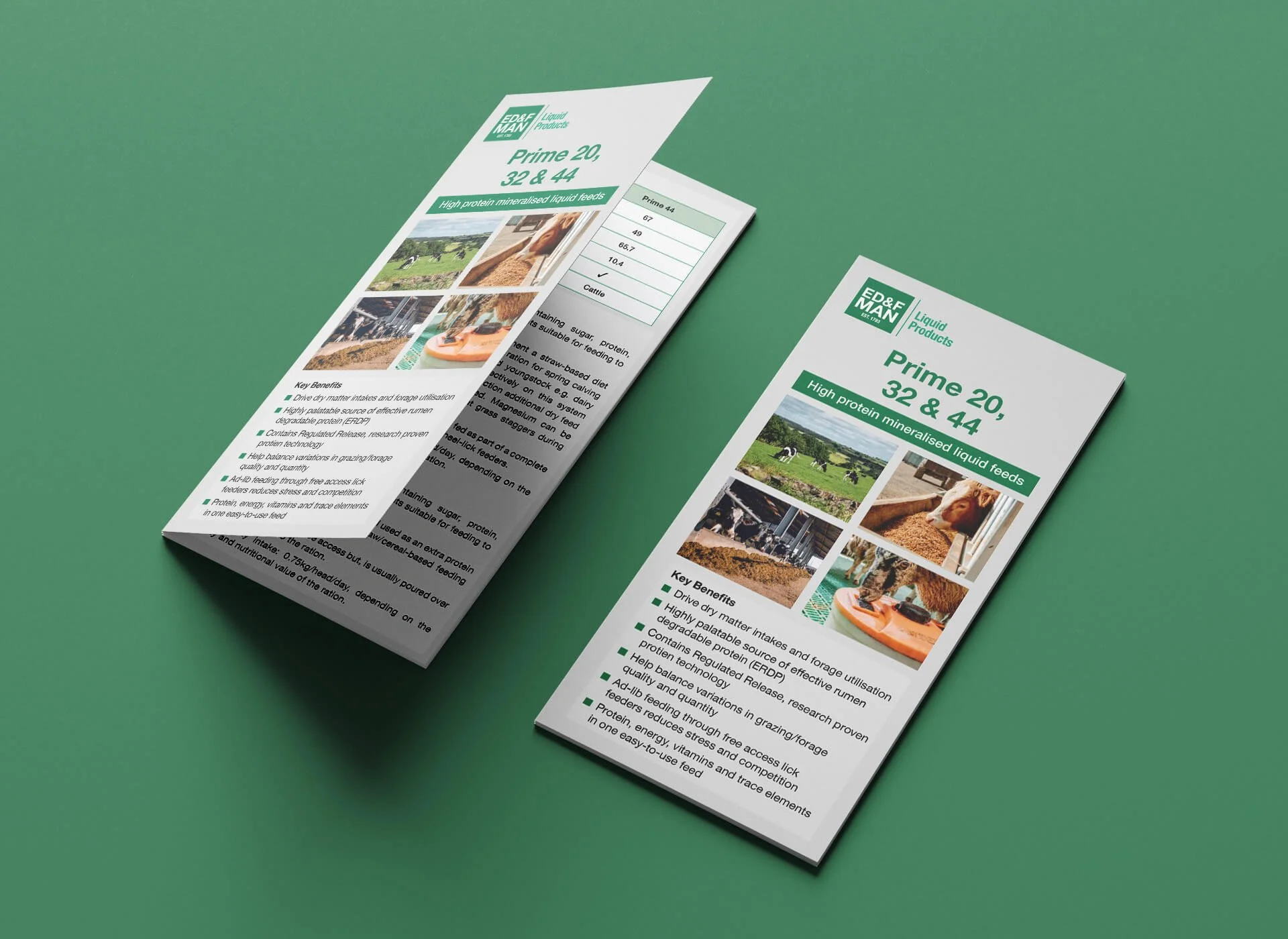EDF-DL Leaflet copy.jpg