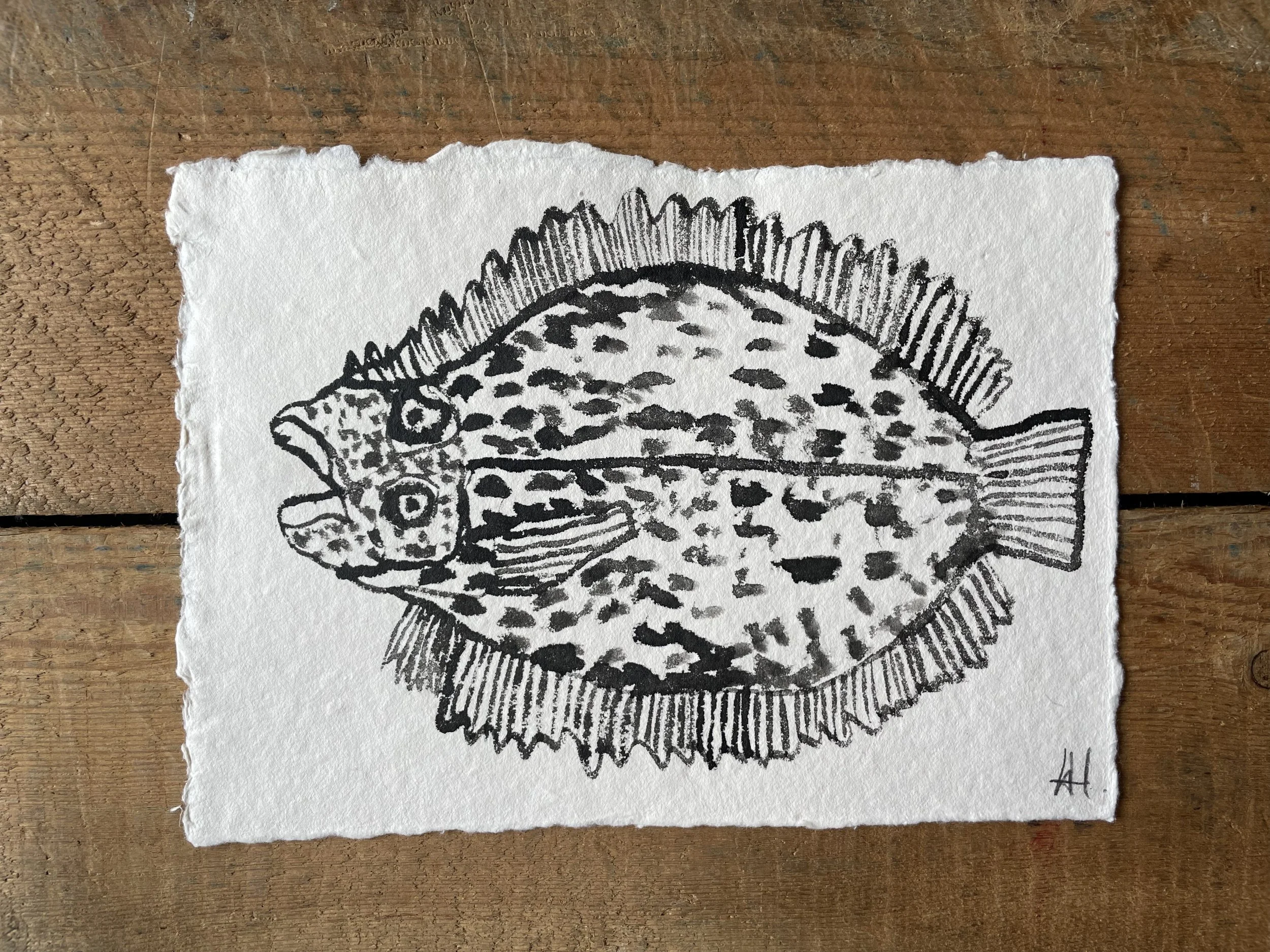 Flat Fish - Ink Drawing