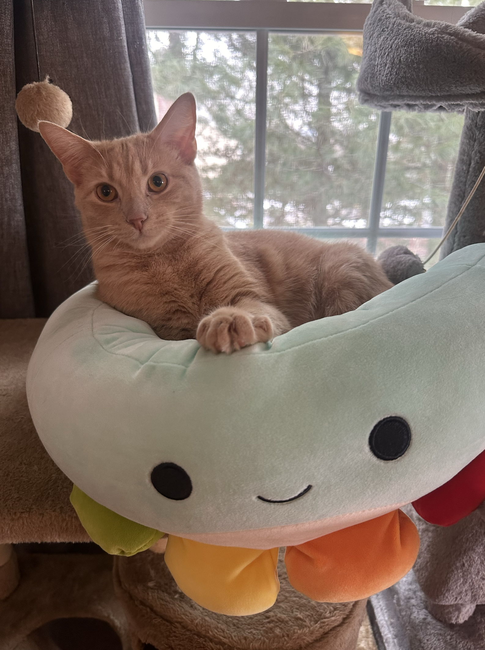 Screenshot 2024-09-12 at 2.27.15 PM.png