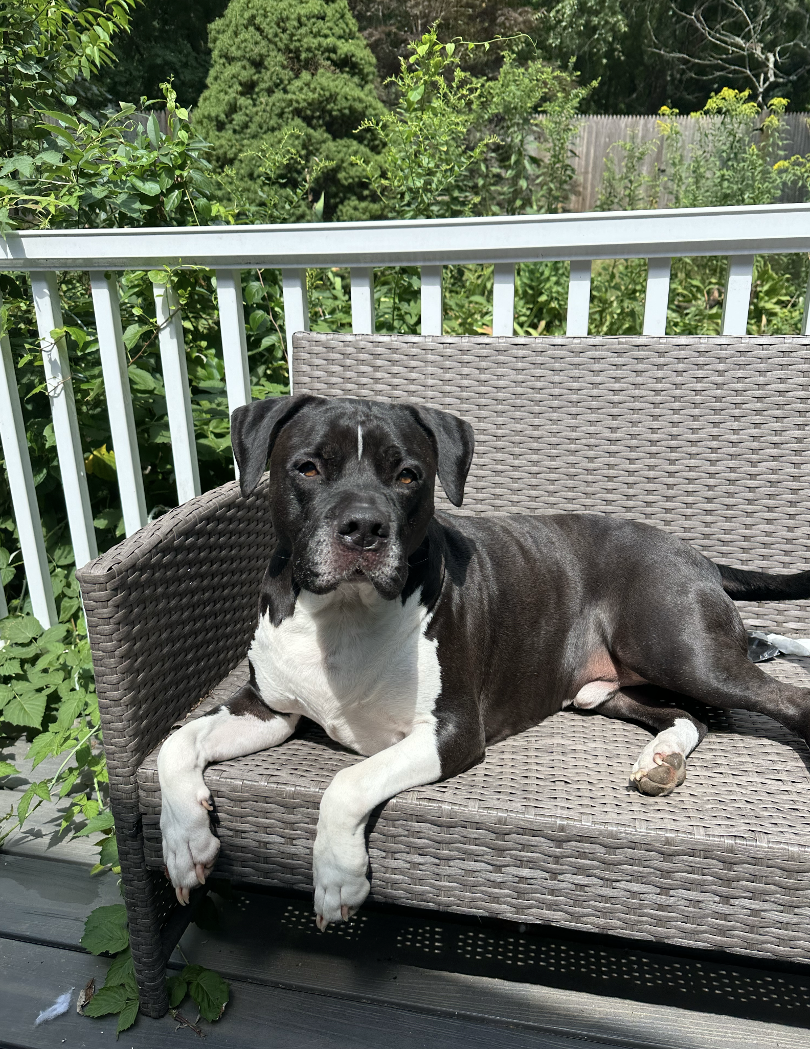 Screenshot 2024-09-12 at 2.23.13 PM.png