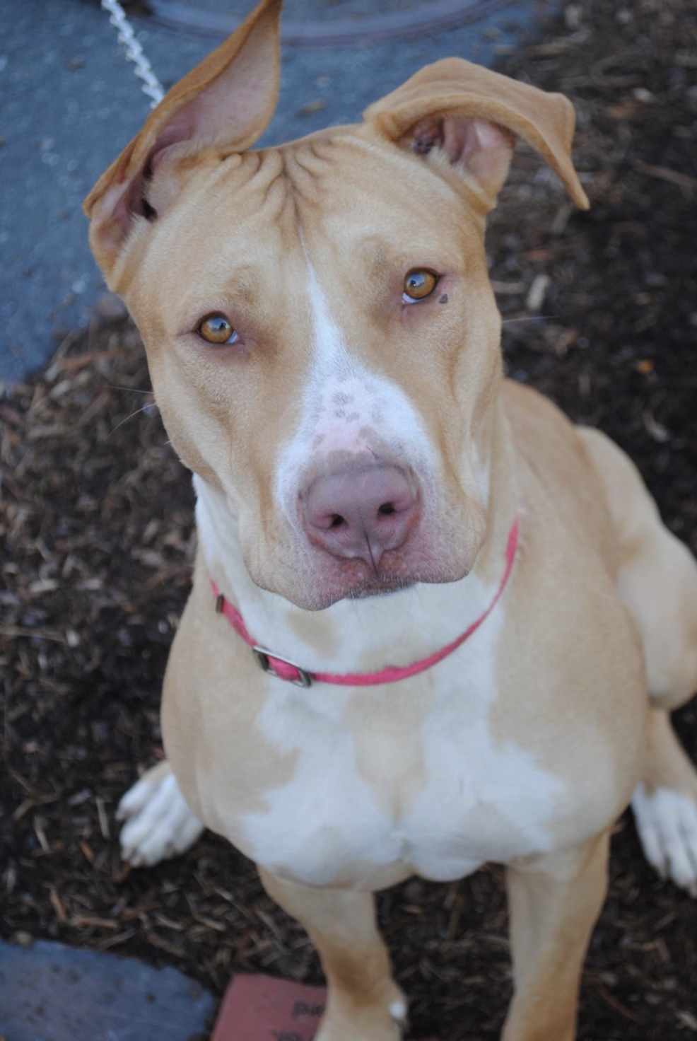 Screenshot 2024-09-12 at 2.23.47 PM.png