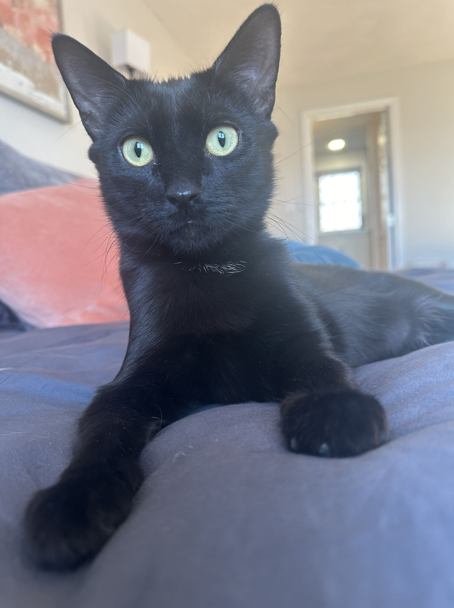 Screenshot 2024-09-12 at 2.22.57 PM.png