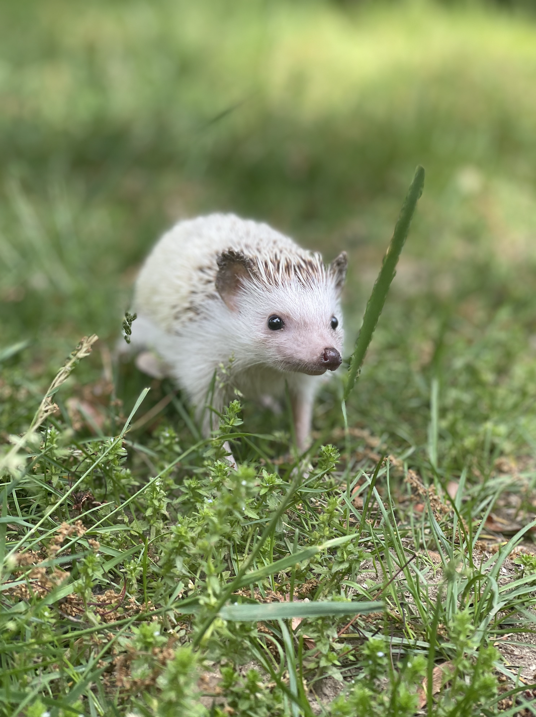 Screenshot 2024-09-12 at 2.22.28 PM.png