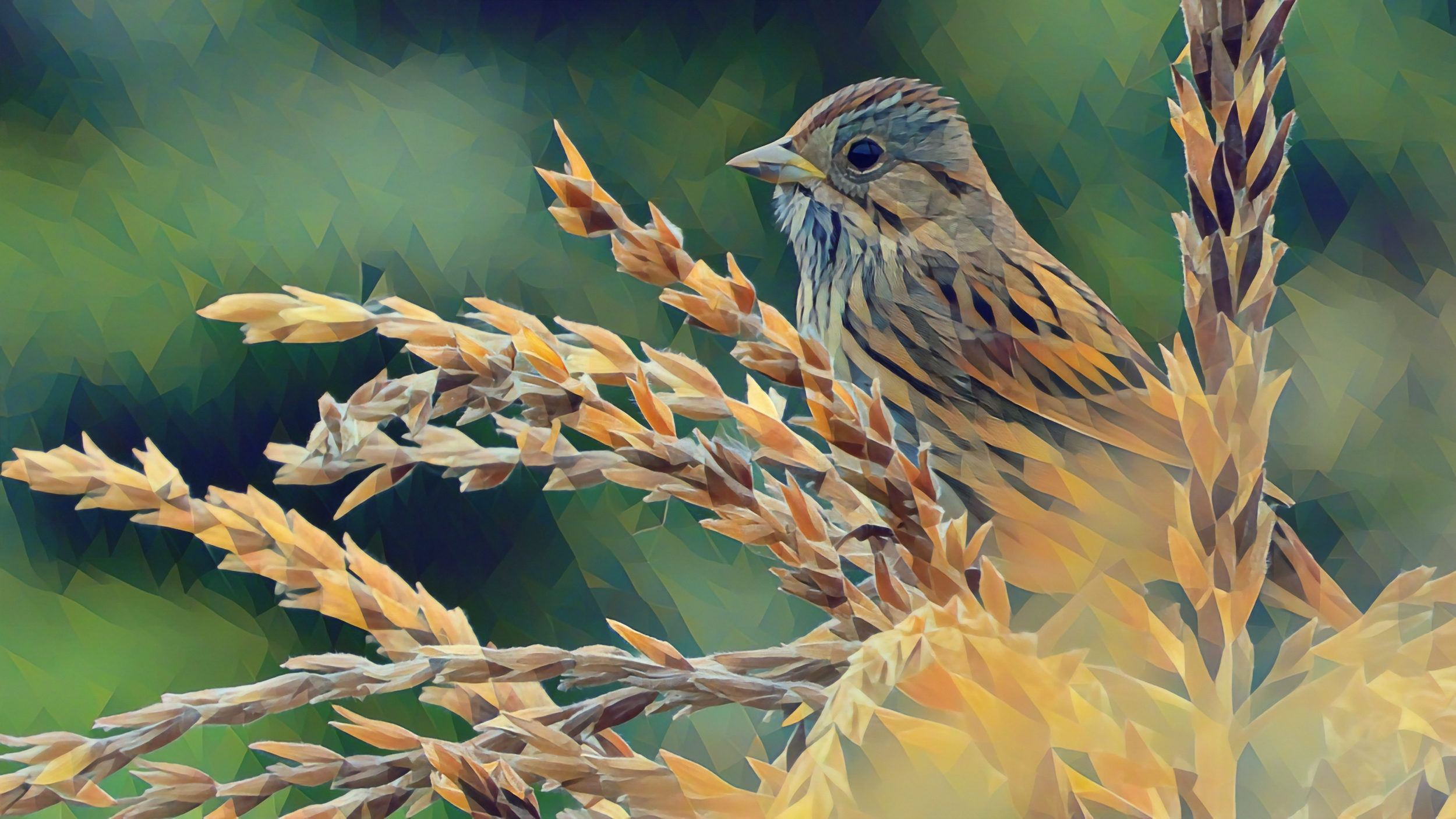 17 Lincoln's Sparrow - Forest Poly Series.png
