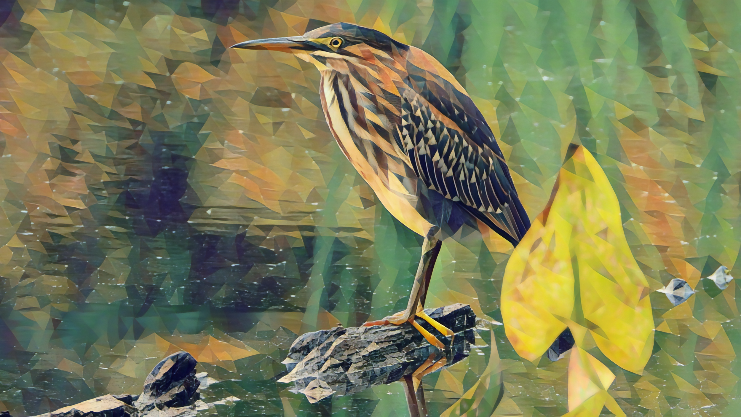 16 Green Heron - Forest Poly Series.png
