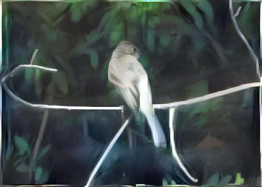 T3D Flycatcher on Objkt.com