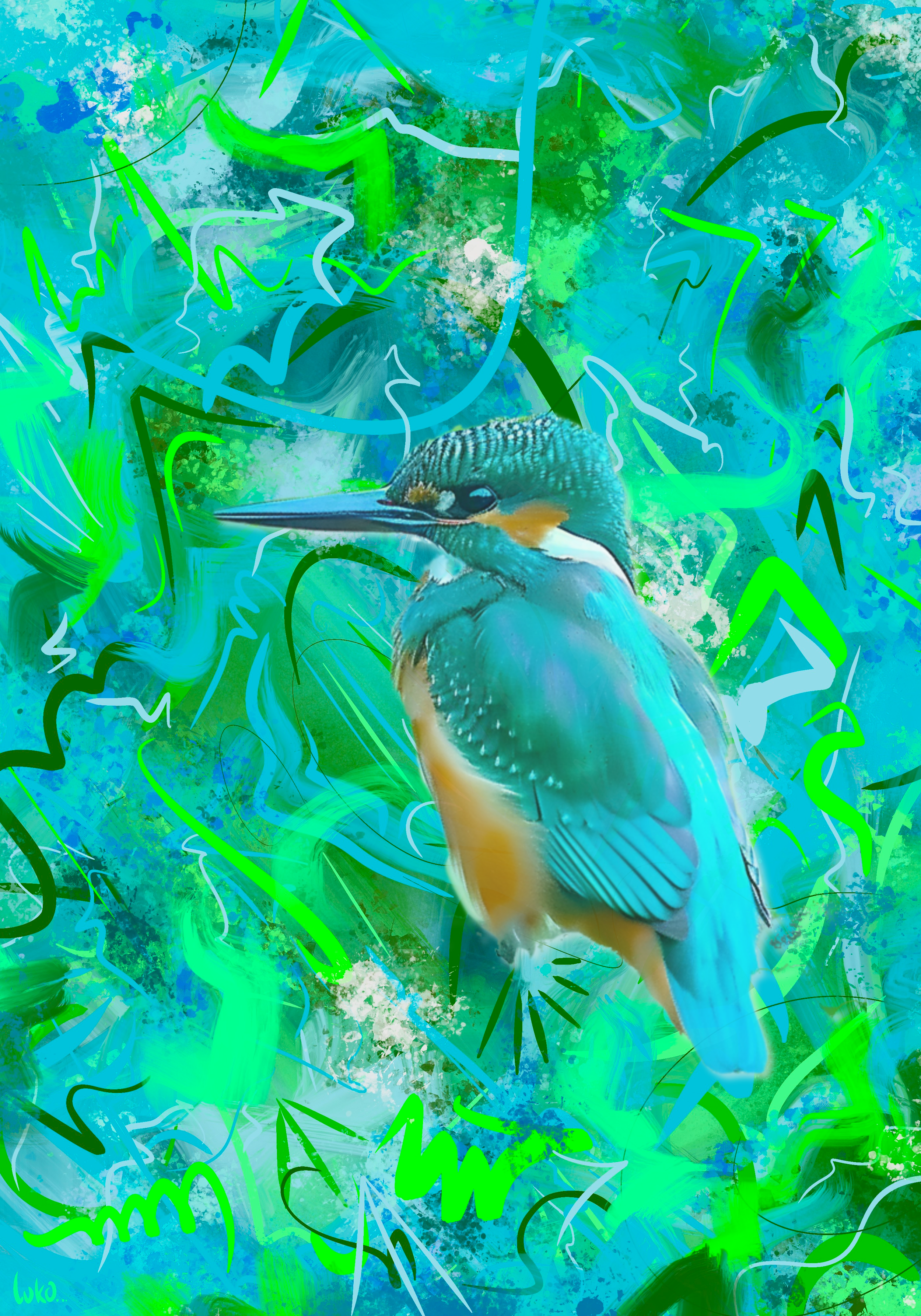 Kingfisher Flow with Luko.png