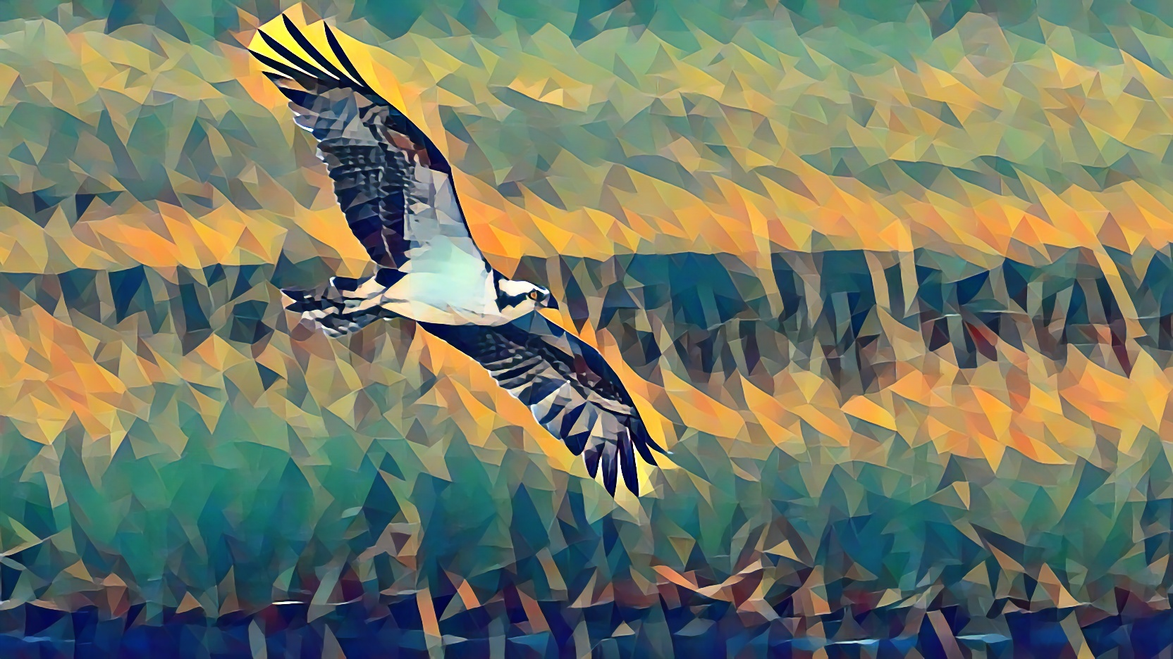 19 Osprey - Forest Poly Series.png