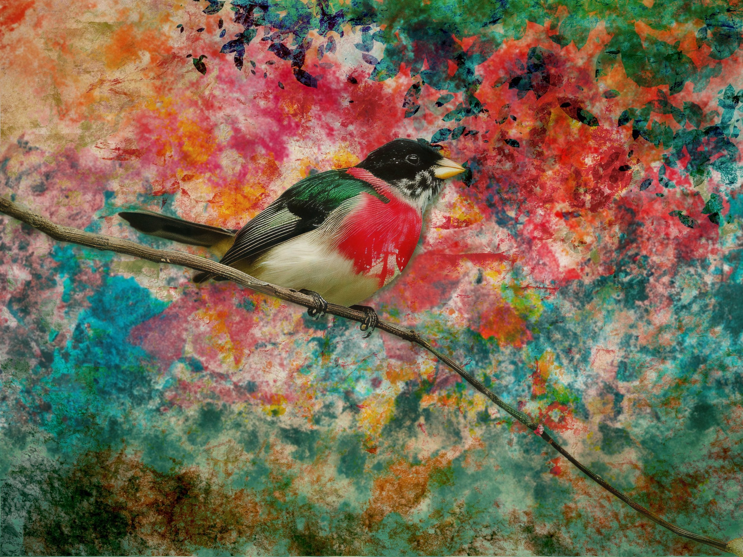 Grosbeak Jardins Des Rêves (I).jpg