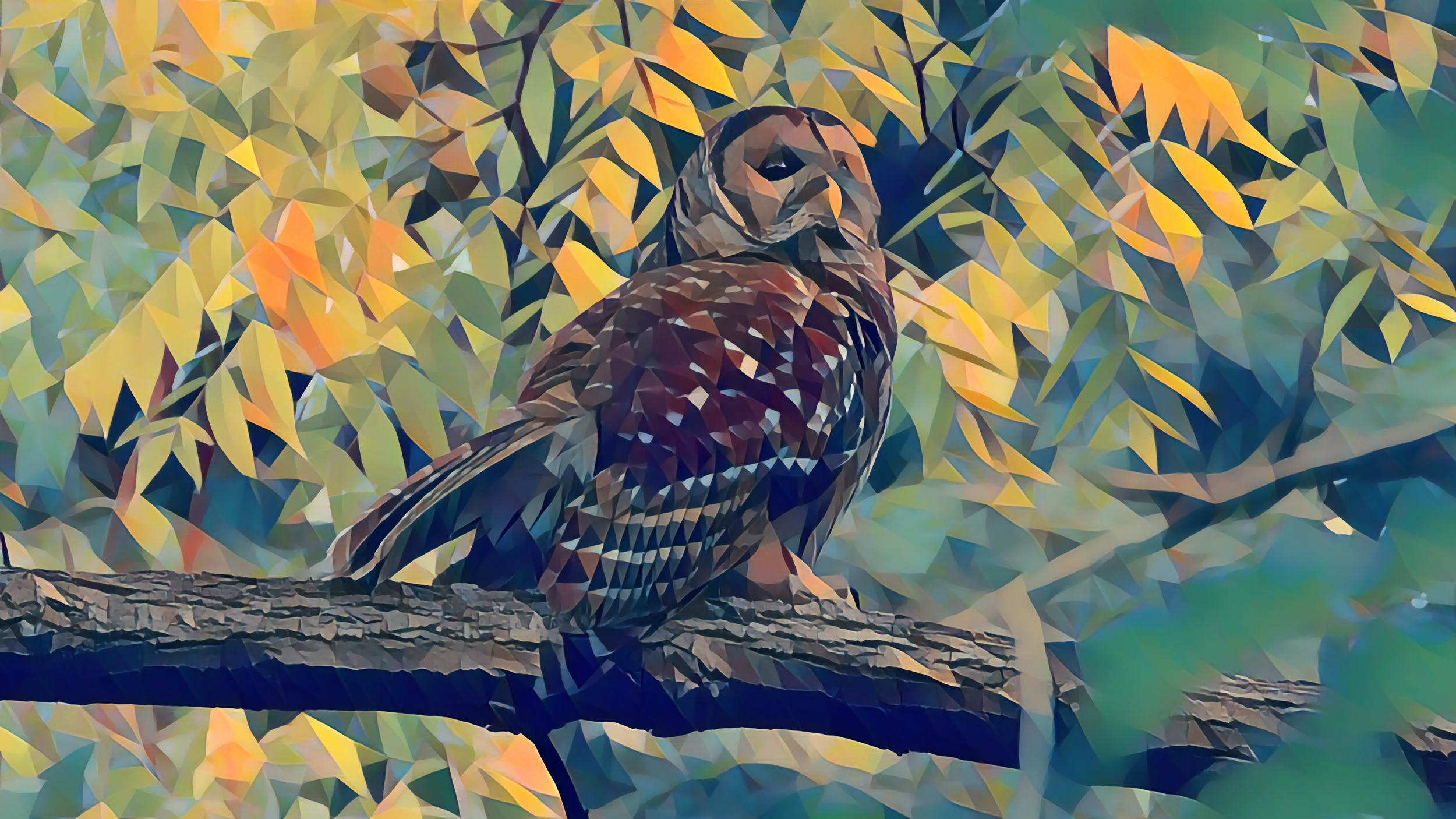 18 Barred Owl - Forest Poly Series.png