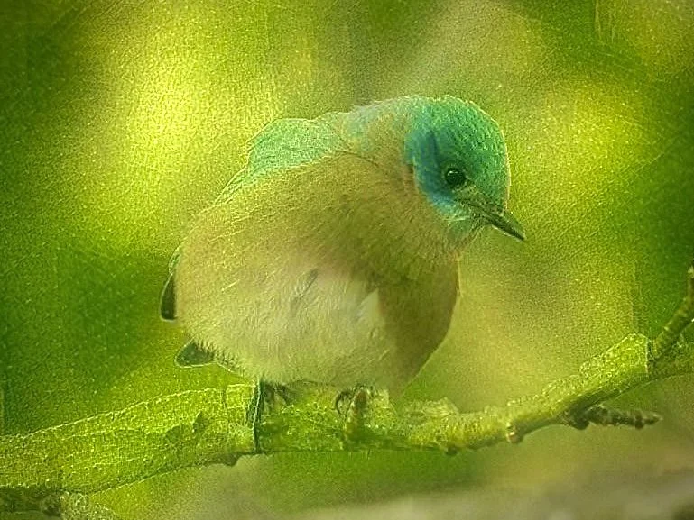 Blue Leafbird on Objkt.com