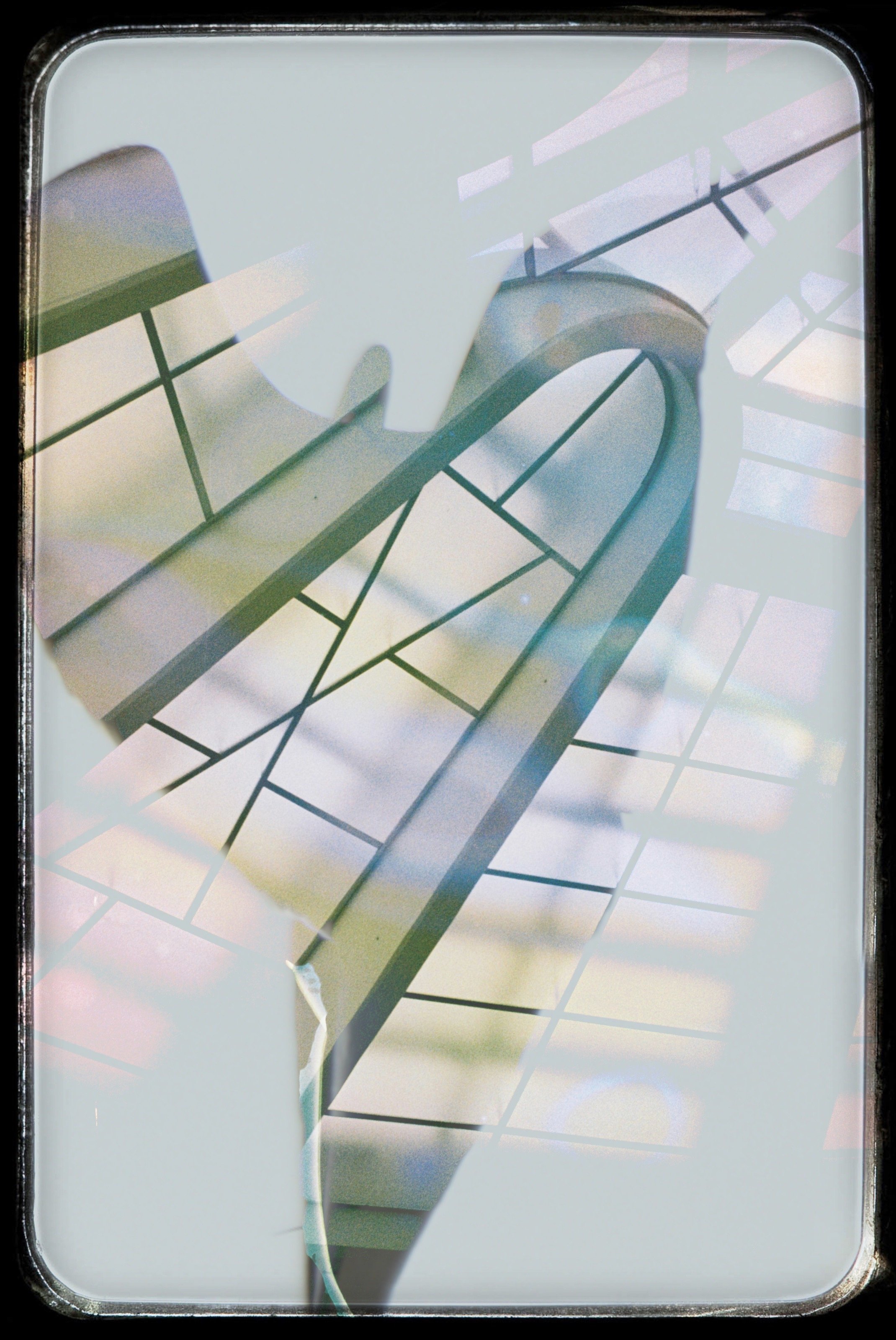 Tern at the Guggenheim.jpg