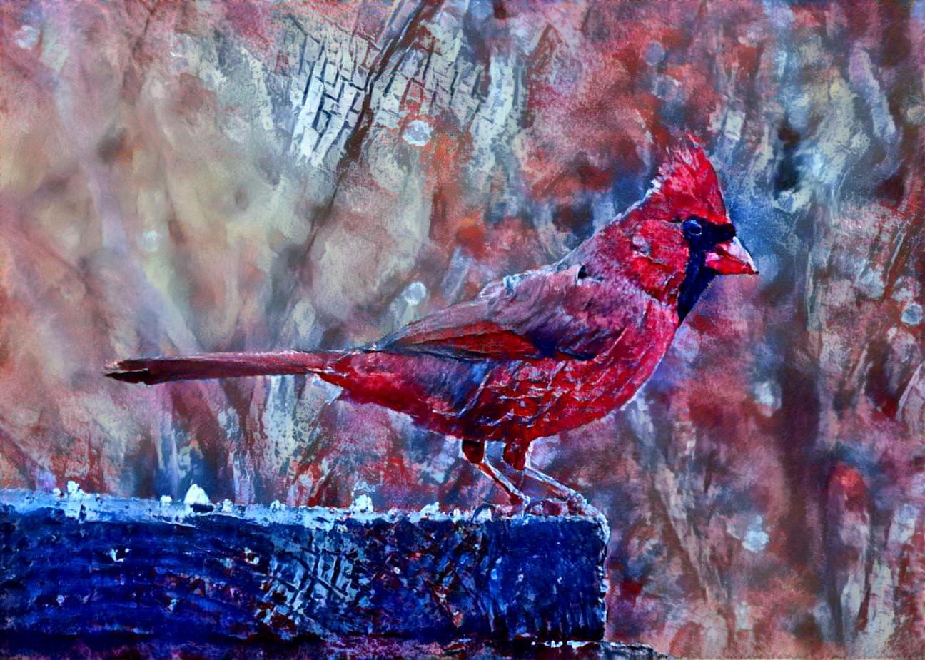 Judy Cardinal.jpeg