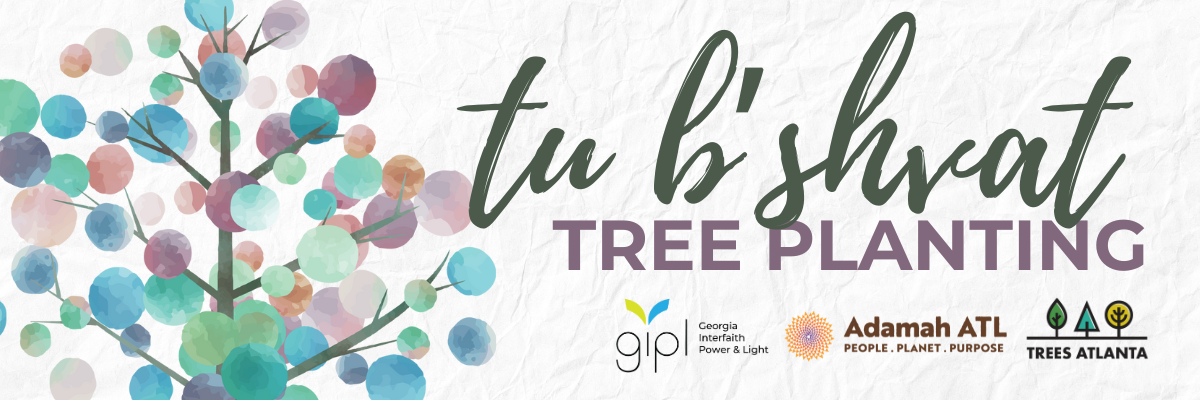 Tu B'Shvat Tree Planting