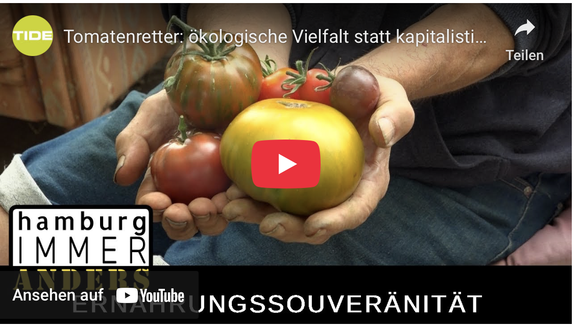 Was gibt es auf dem Tomatenretter Hof?