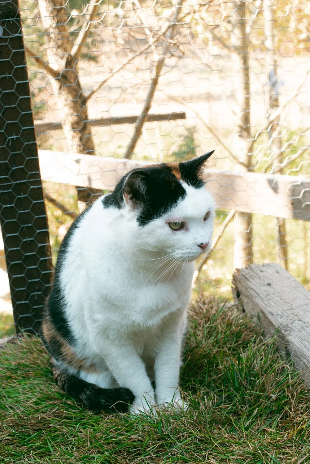 DSC_2487.jpg