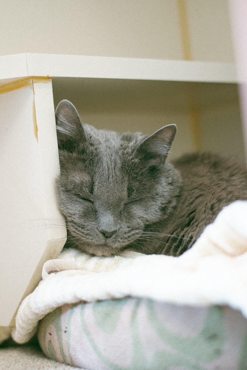 DSC_4633.jpg