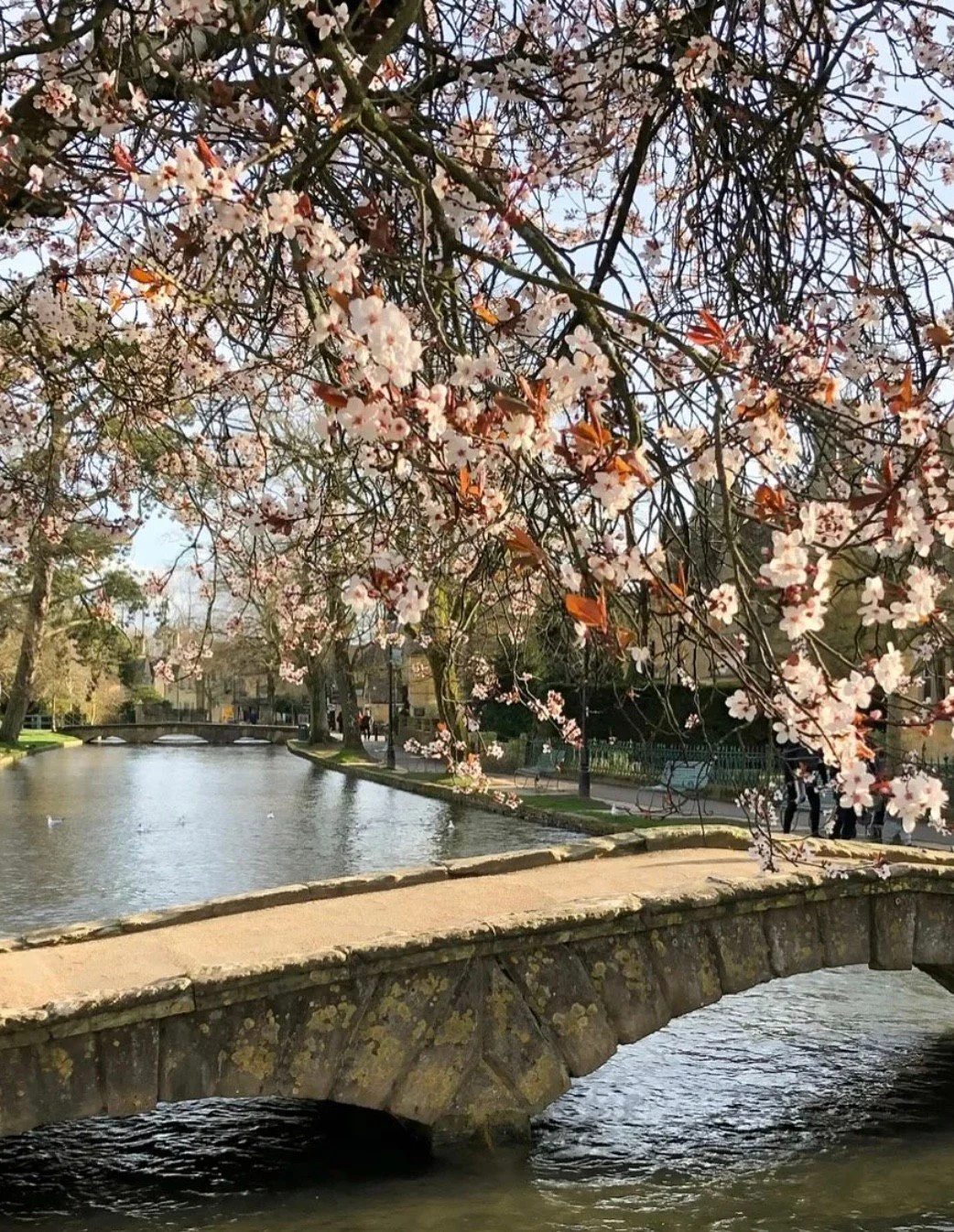 Stunning moments from Bourton-on-the-Water, beautifully captured by @janet.comer &mdash; where every view feels like a postcard. 🌿✨⁣
⁣
#themousetrapbourton #bourtononthewater #thecotswolds