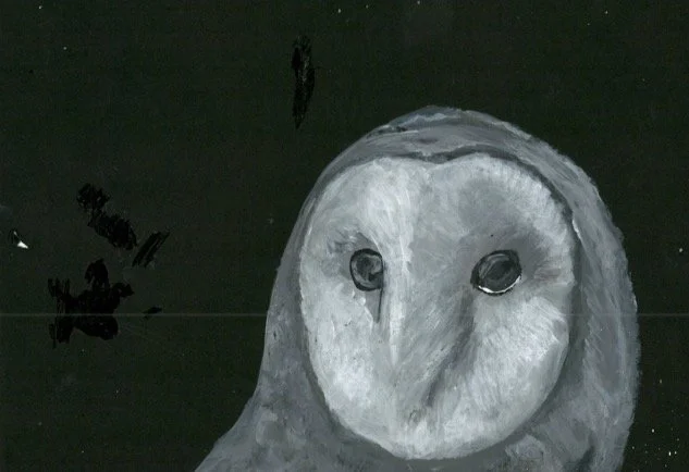owl PWC.jpg