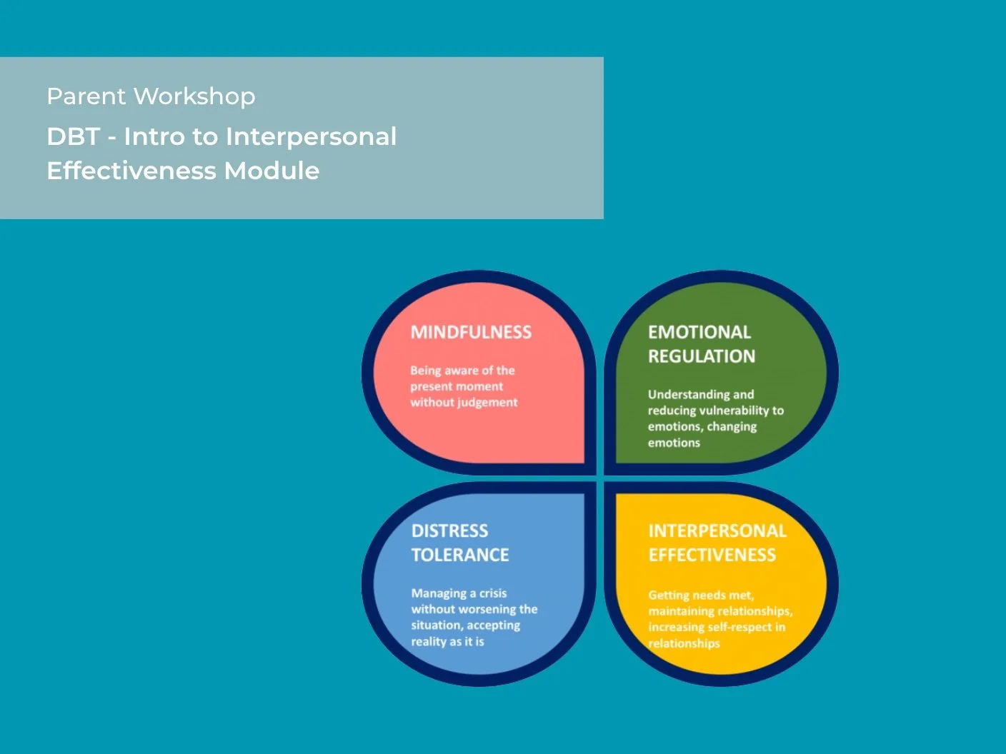 DBT - Intro to Interpersonal Effectiveness Module lV