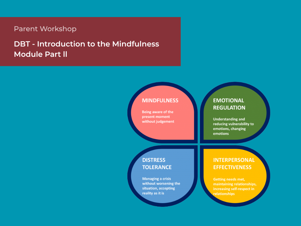 DBT - Introduction to the Mindfulness Module&nbsp;Part ll