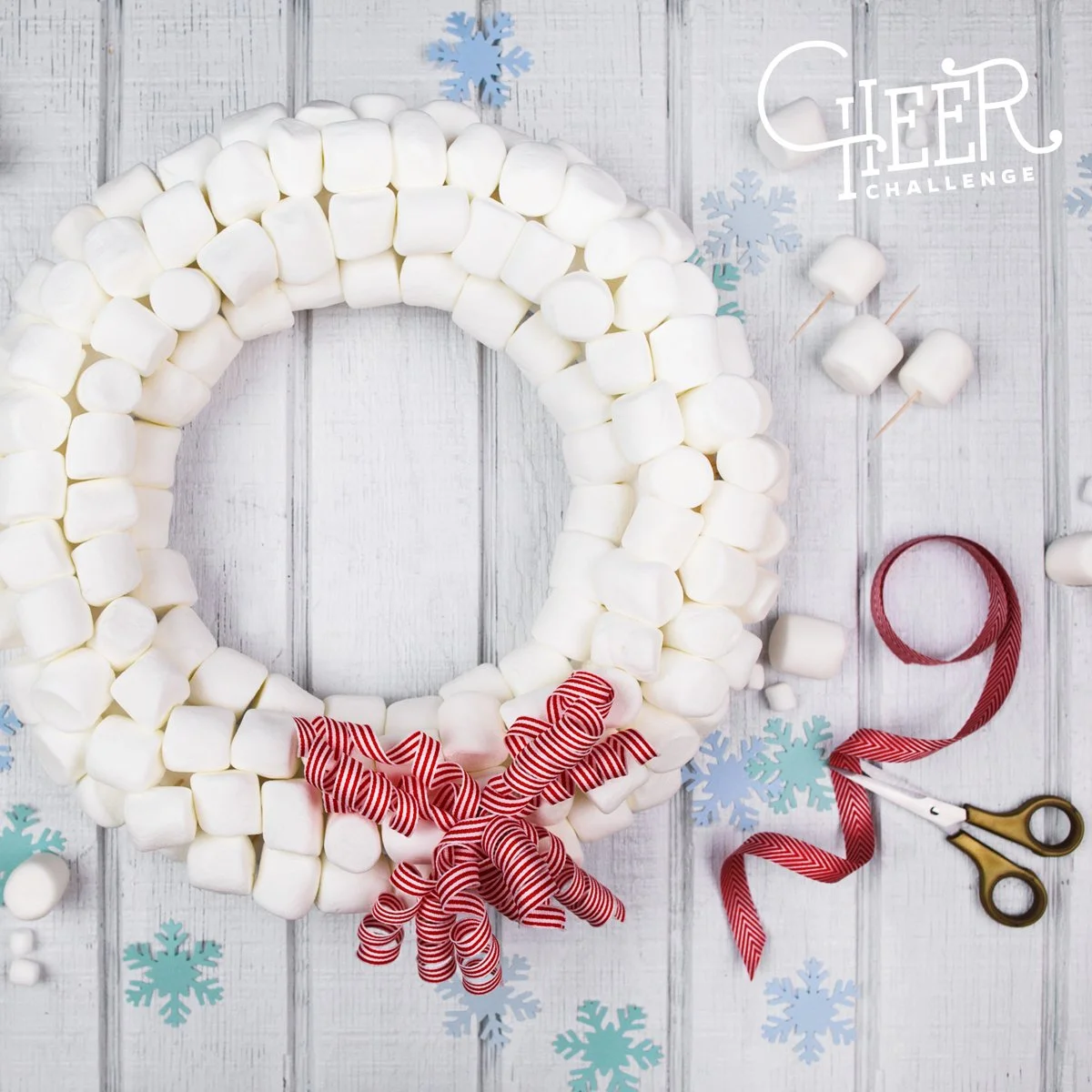 ENT-P12-marshmallow-wreath-1200x1200.jpg