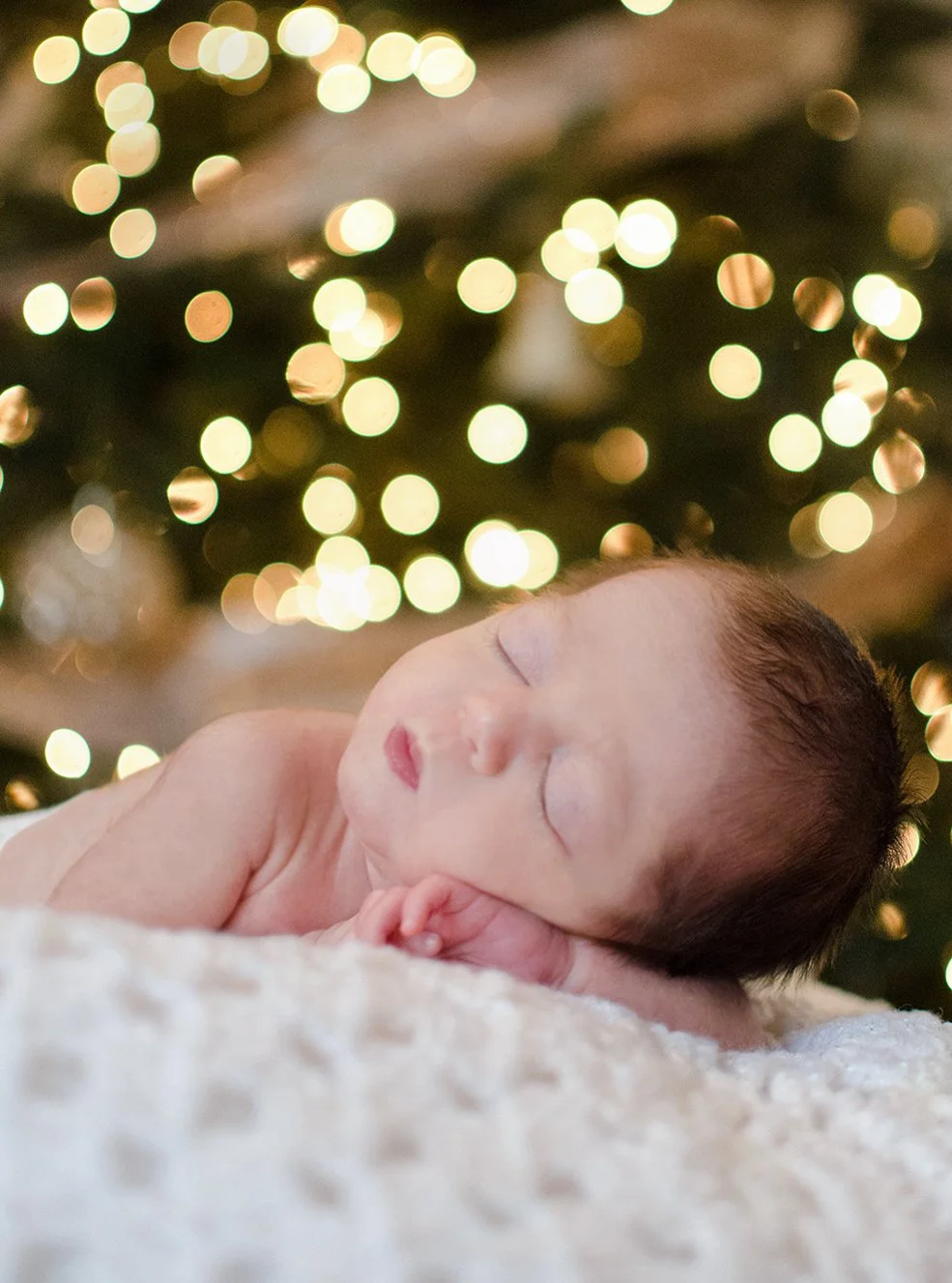 newborn-portrait-christmas-lights-photography.jpg