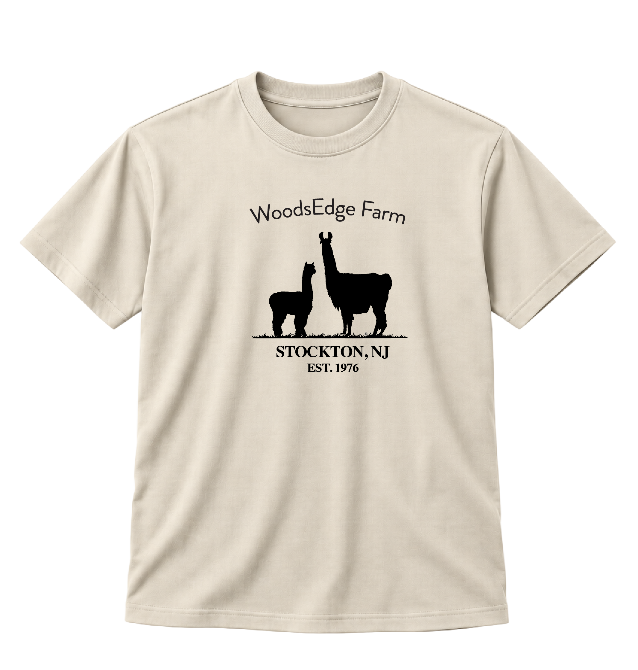 SHIRT 2@2x.png