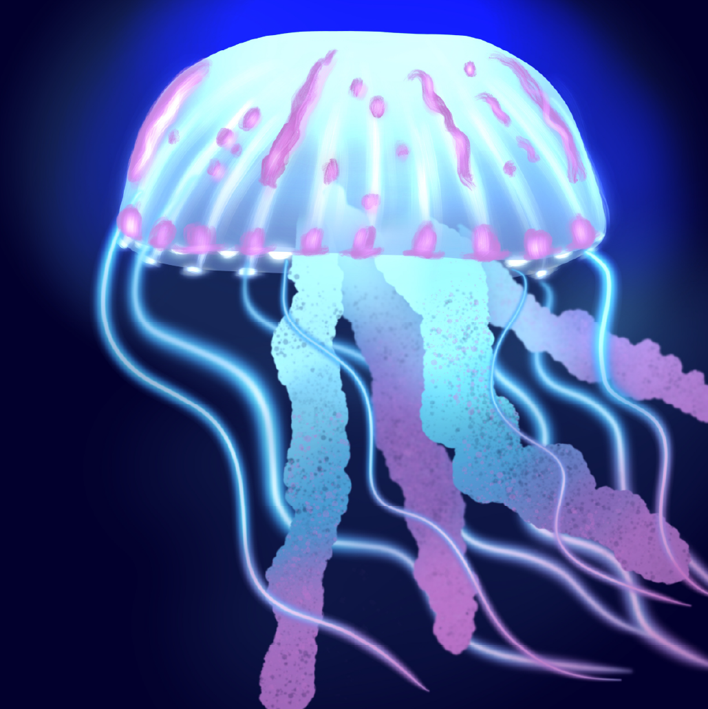 jellyfish.png