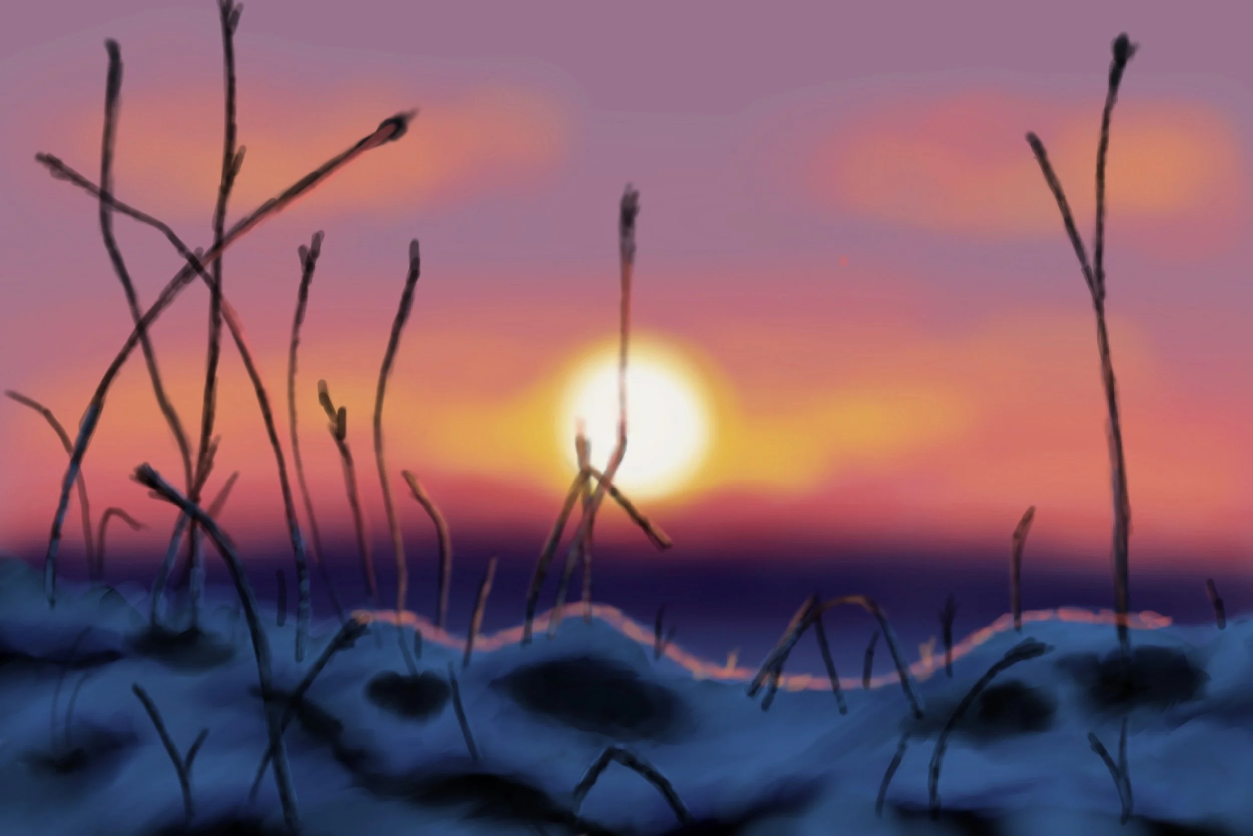 wintersun.JPG