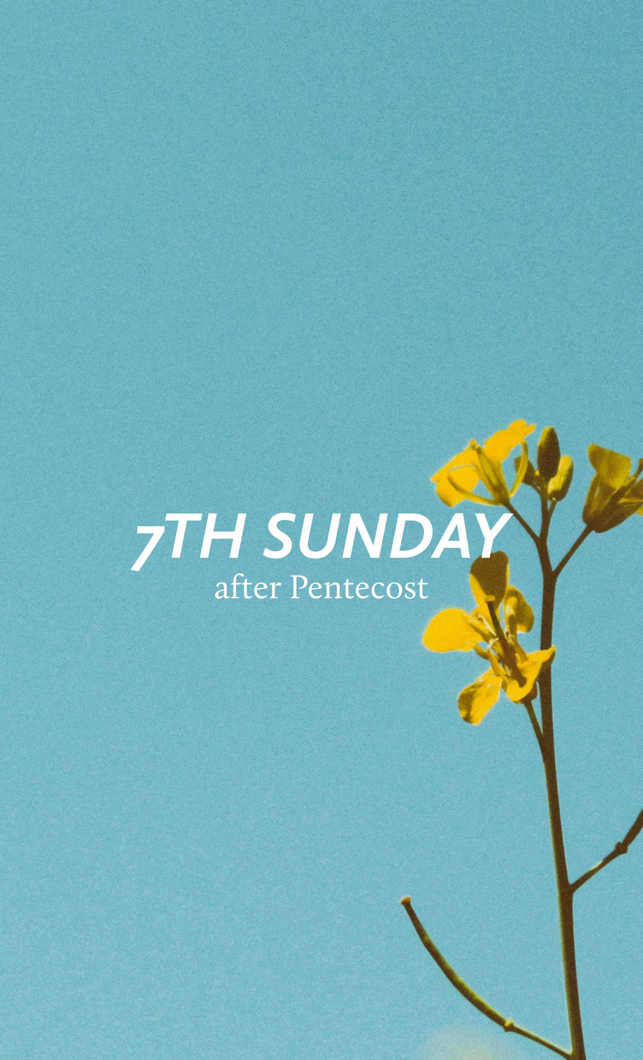 Seventh Sunday after Pentecost