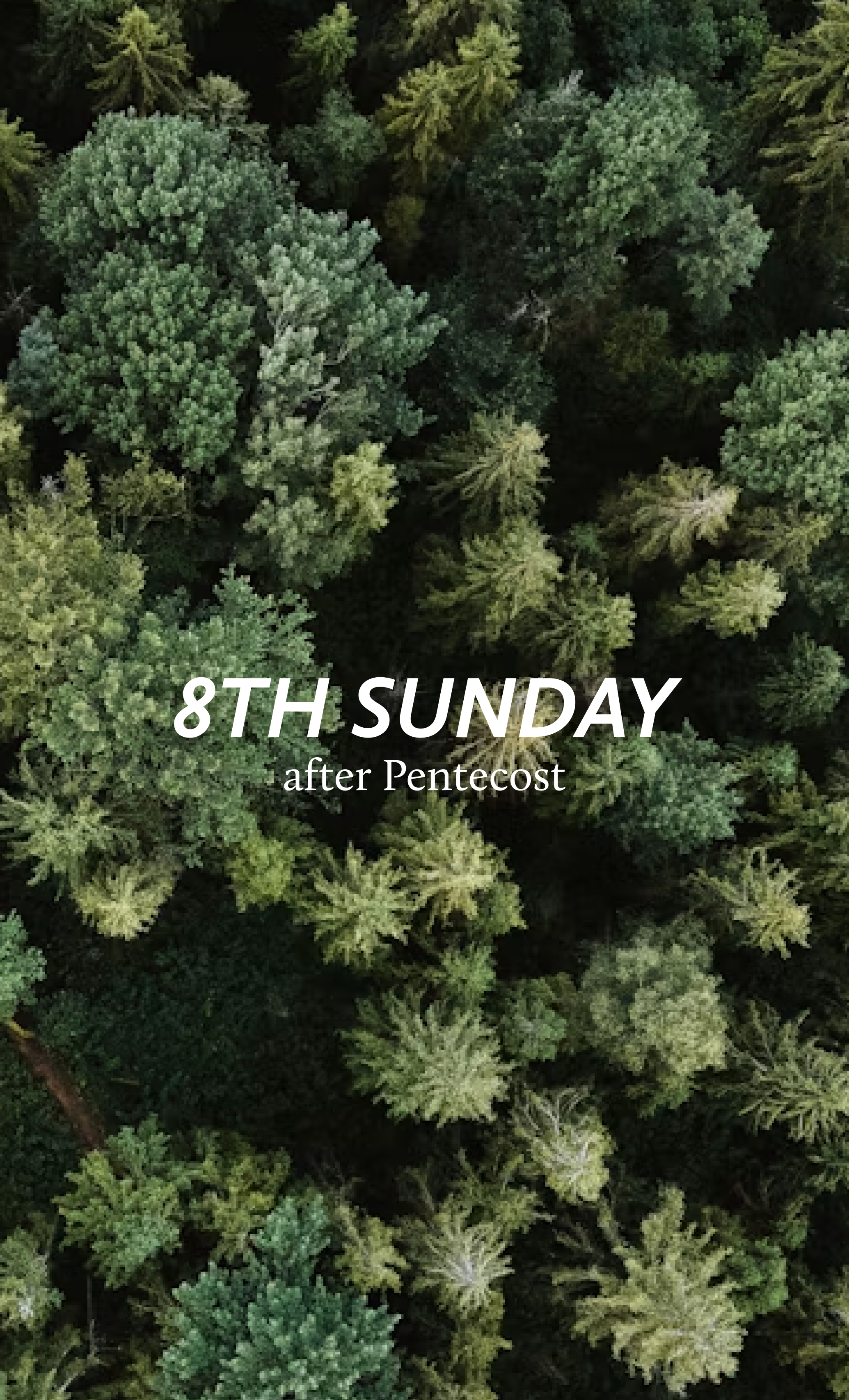 Eighth Sunday after Pentecost