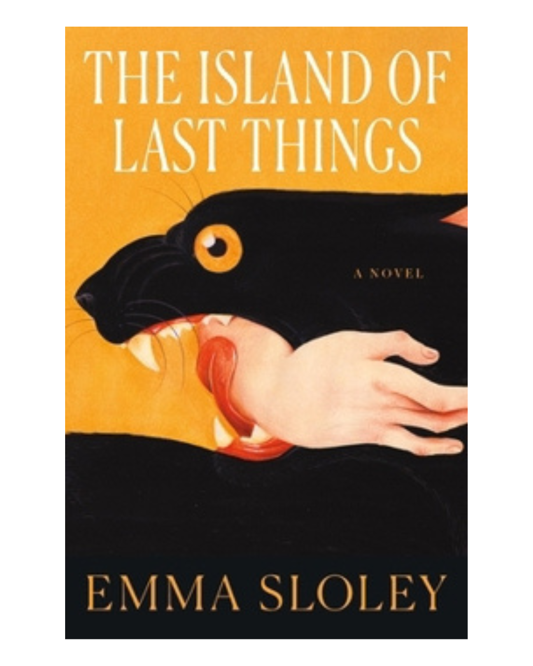 Bestsellers Book Club