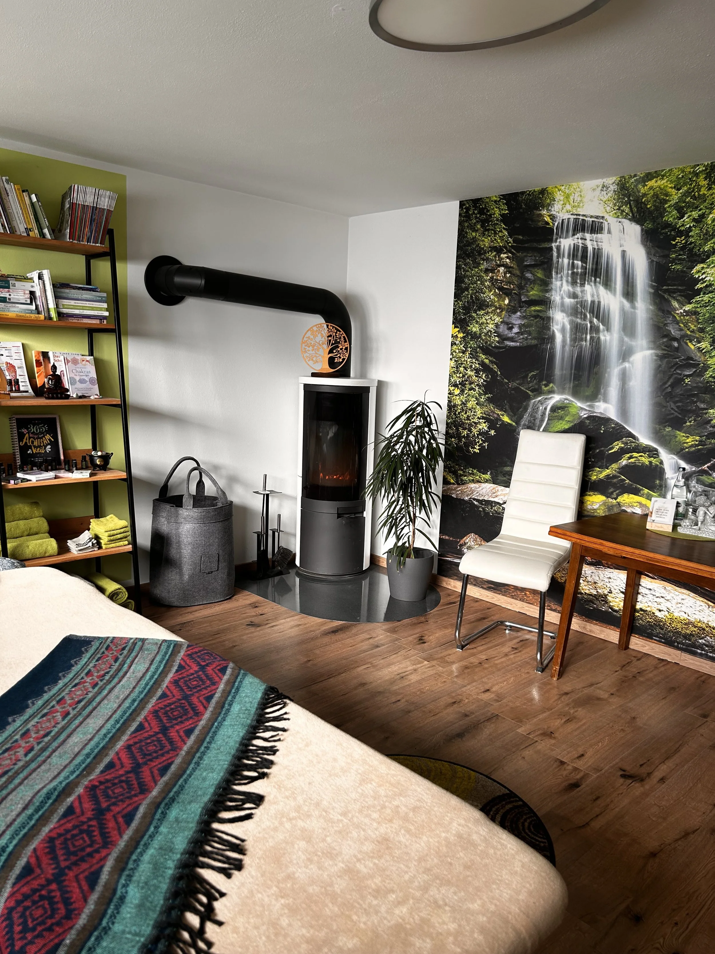 Ein gemütliches Wohnzimmer mit Holzparkett, einem Kamin, einer großen Wasserfall-Wandtapete, einem weißen Stuhl, einem Holztisch, einem großen grünen Regal mit Büchern und Handtüchern, einer Pflanze und einem bunten Teppich.